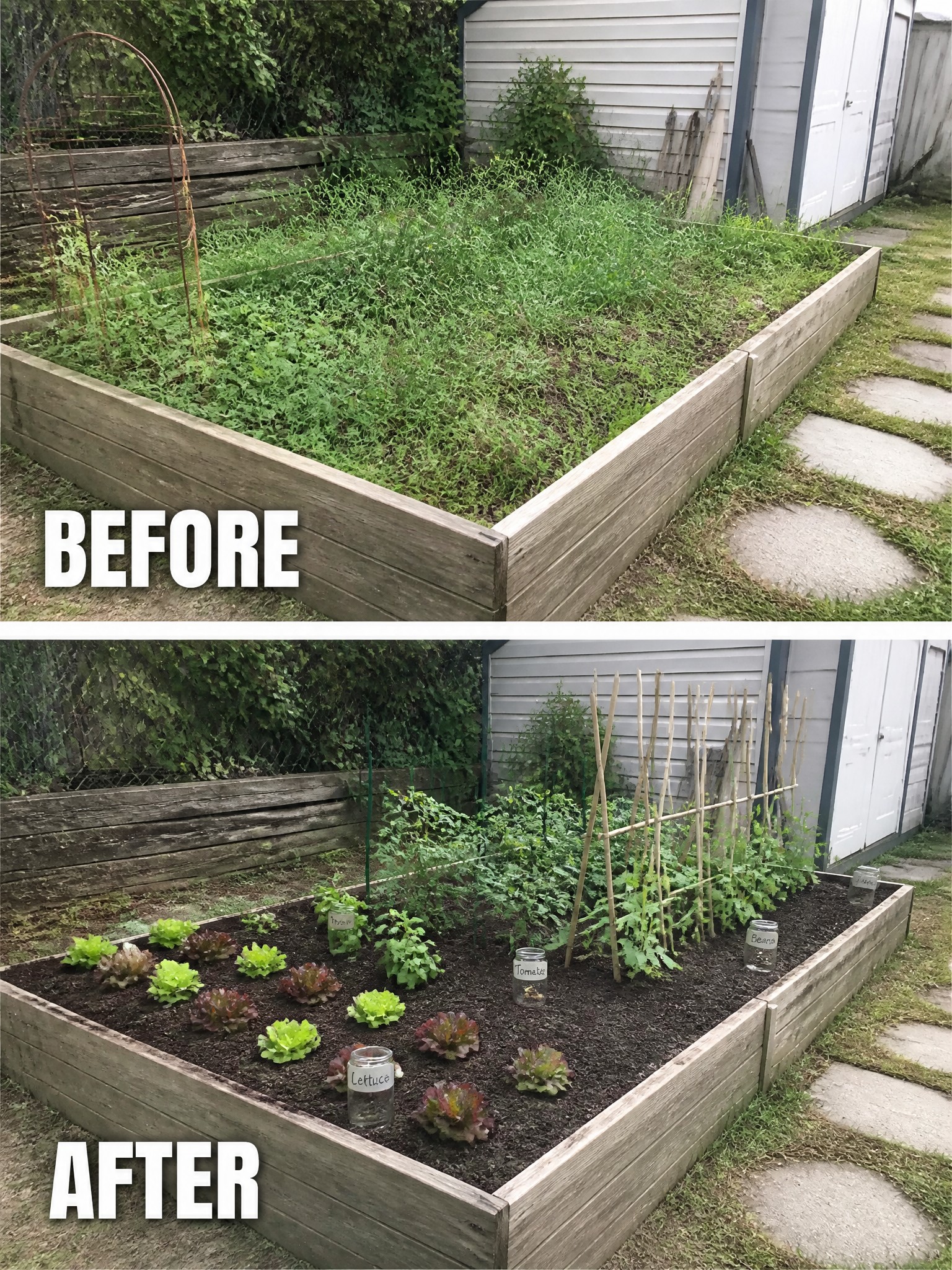 Before and after of overgrown raised garden bed transformed into organized vegetable plot.