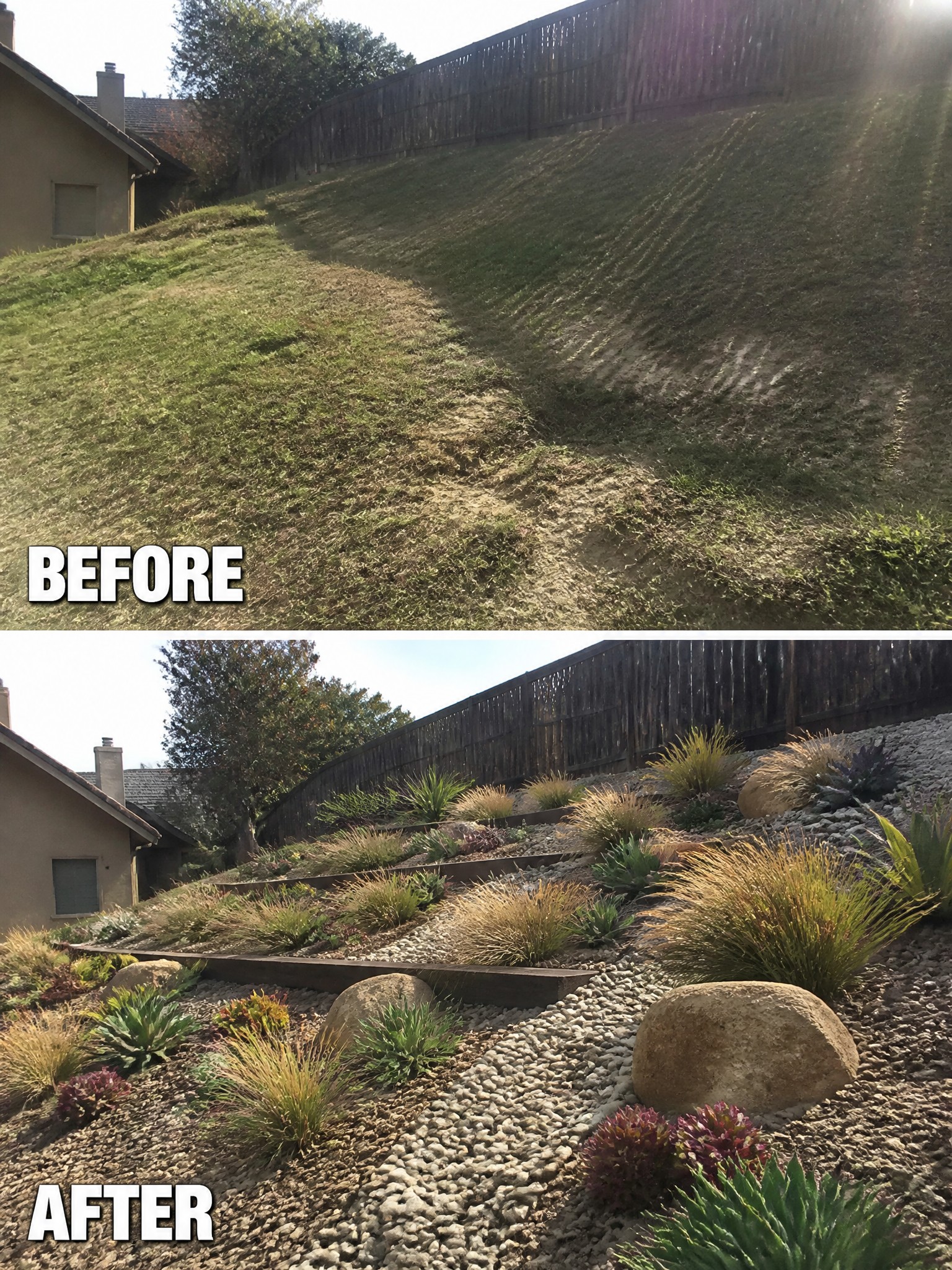 Before-and-after hillside transformed from bare slope into terraced garden with plants and rocks.