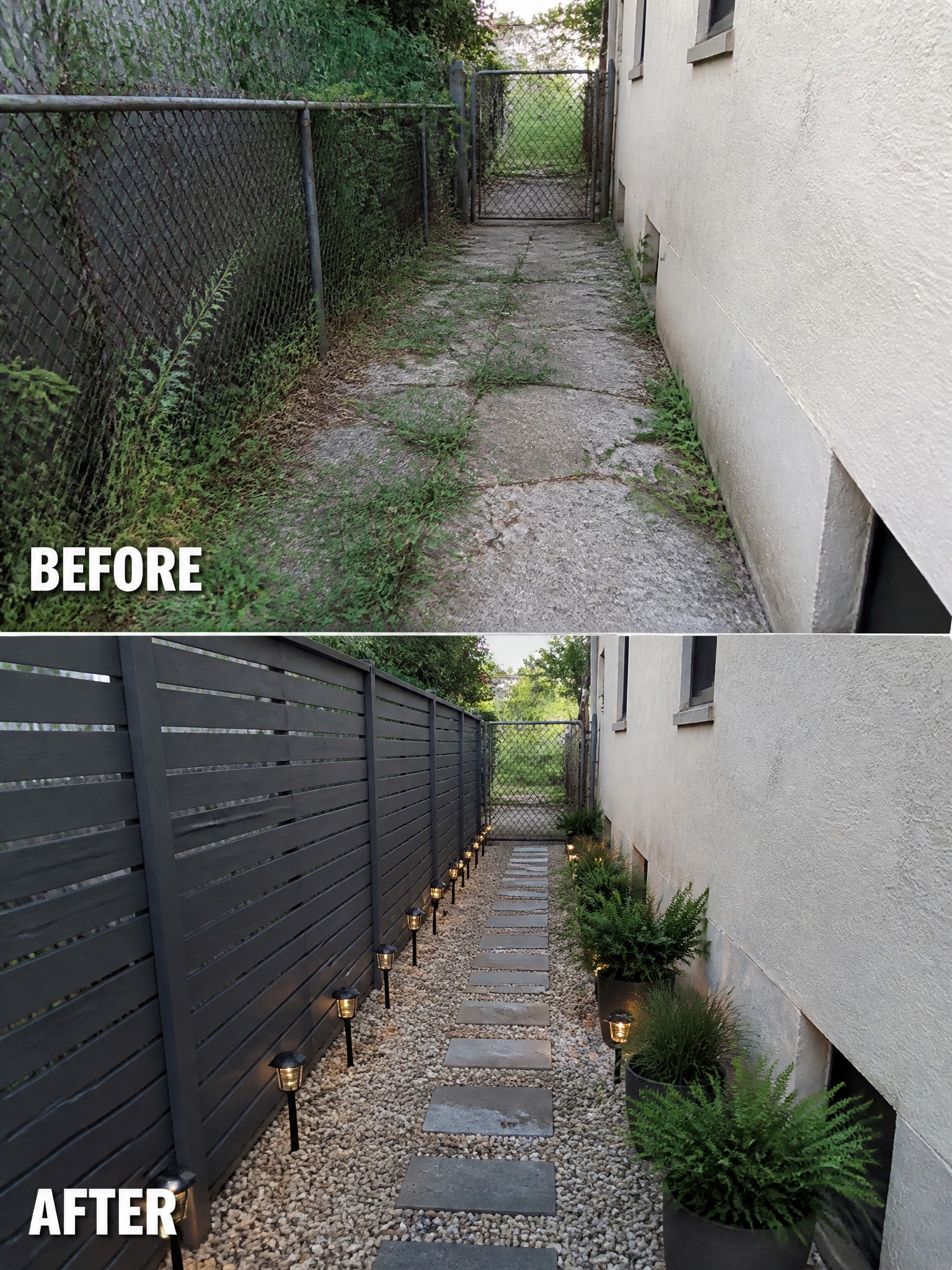 Before and after of overgrown alley path renovated with gravel, lights, fence and plants.