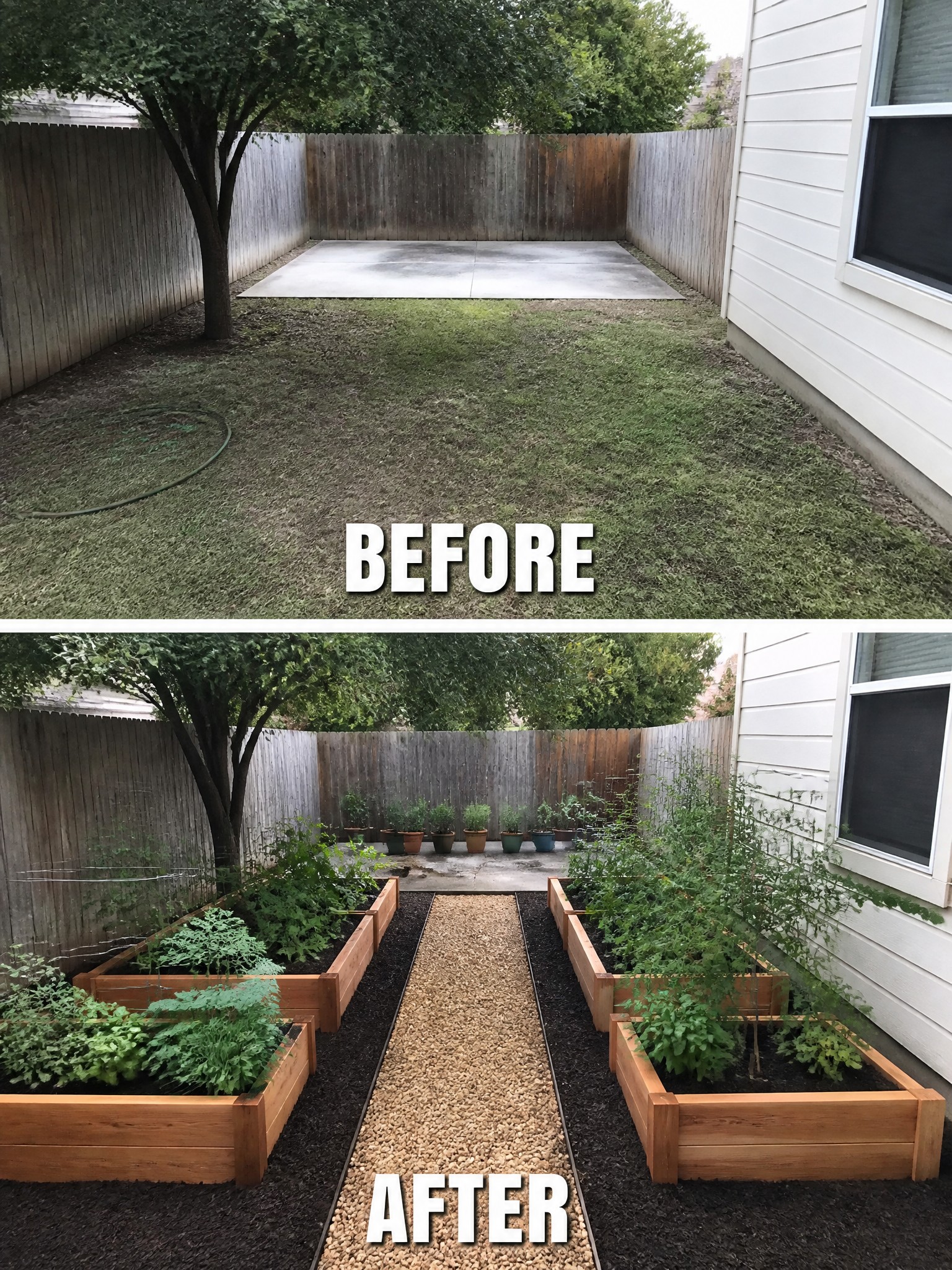 Before and after backyard with raised garden beds, gravel path, and plants