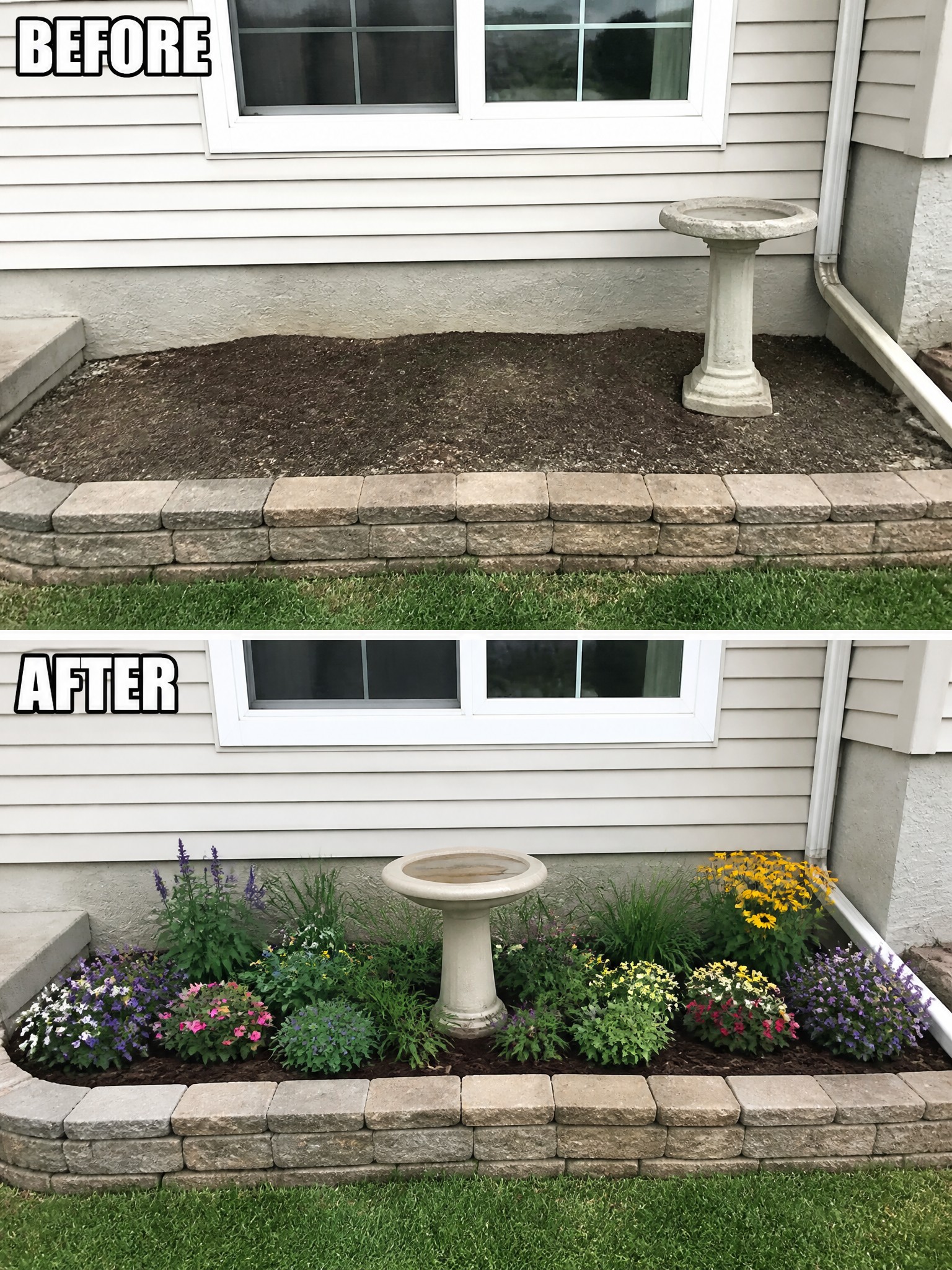 Before bare dirt bed and after colorful flowers planted around birdbath by house.