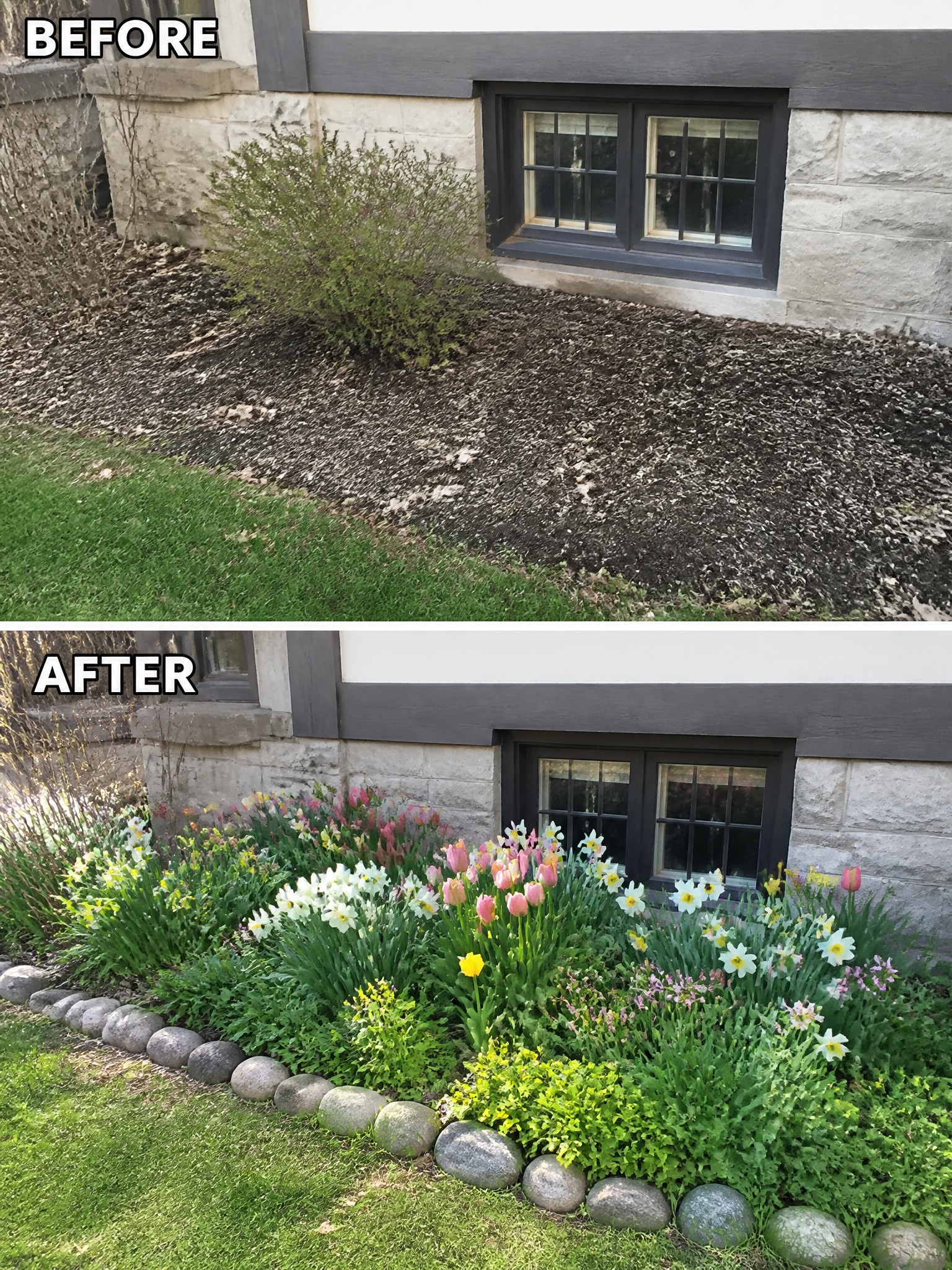 Before-and-after image of a plain mulch strip changed into a colorful flower bed edged with rocks.