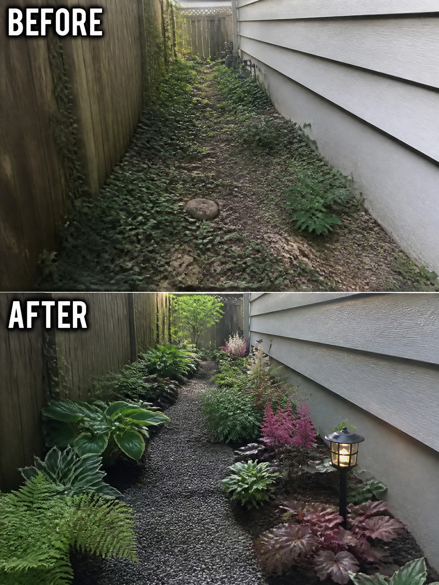 Before and after of narrow overgrown path transformed into landscaped gravel garden with plants.