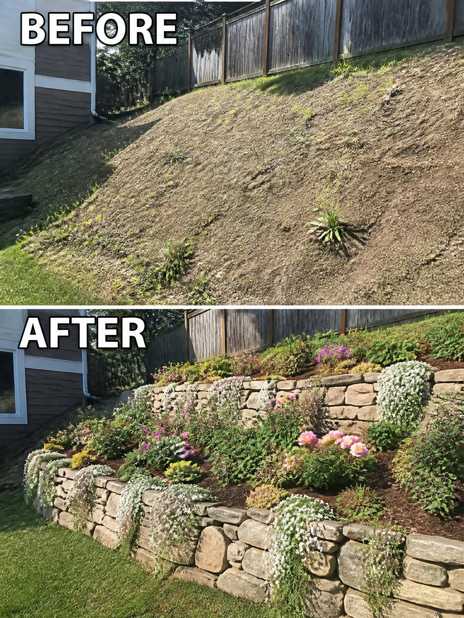 Before-and-after hillside transformed by stone retaining walls and colorful flowers.
