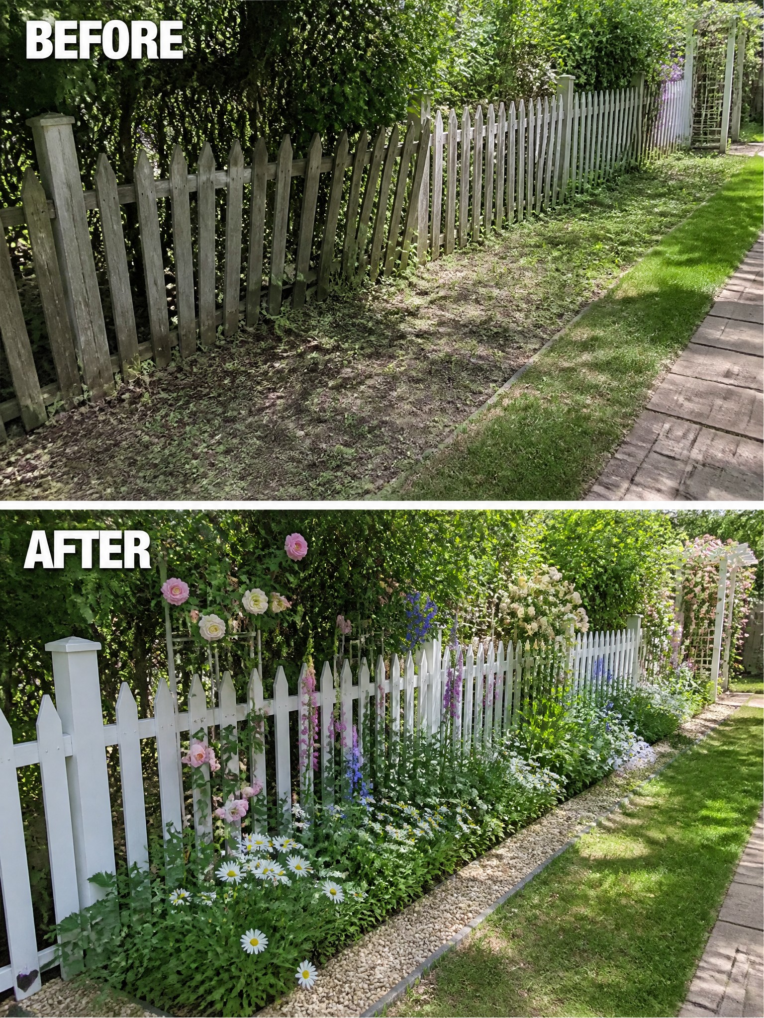 Before and after of weathered fence transformed into white picket with blooming flowers.