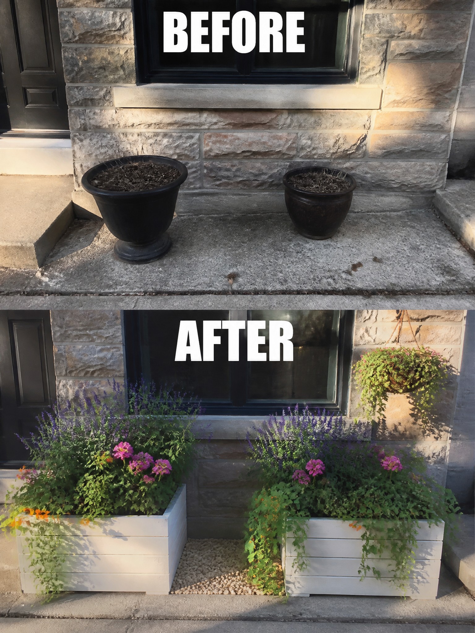 Before empty pots and after vibrant flowers in white planters on stone steps.