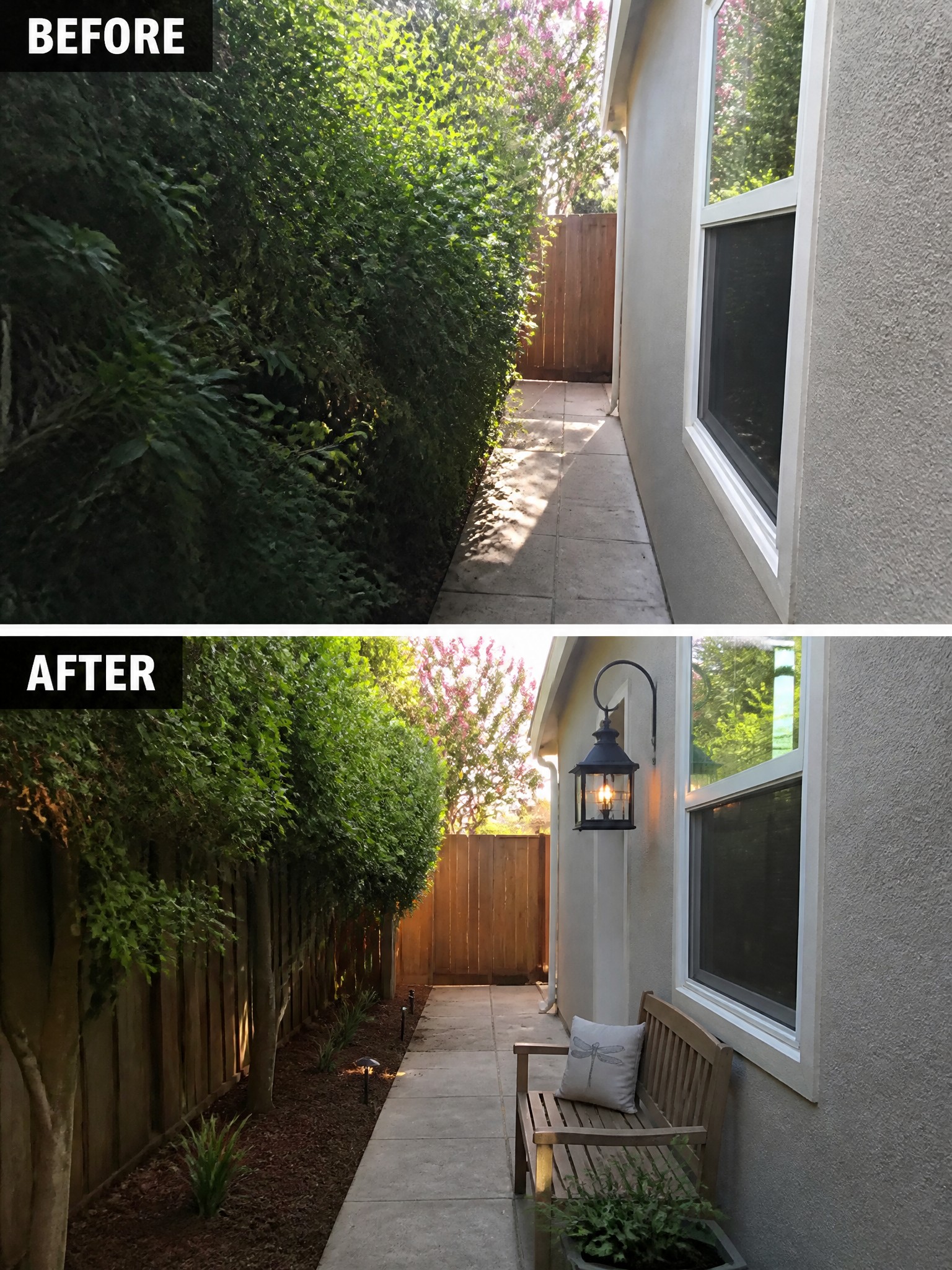Before and after of overgrown path transformed with trimmed hedges, bench, and lights.