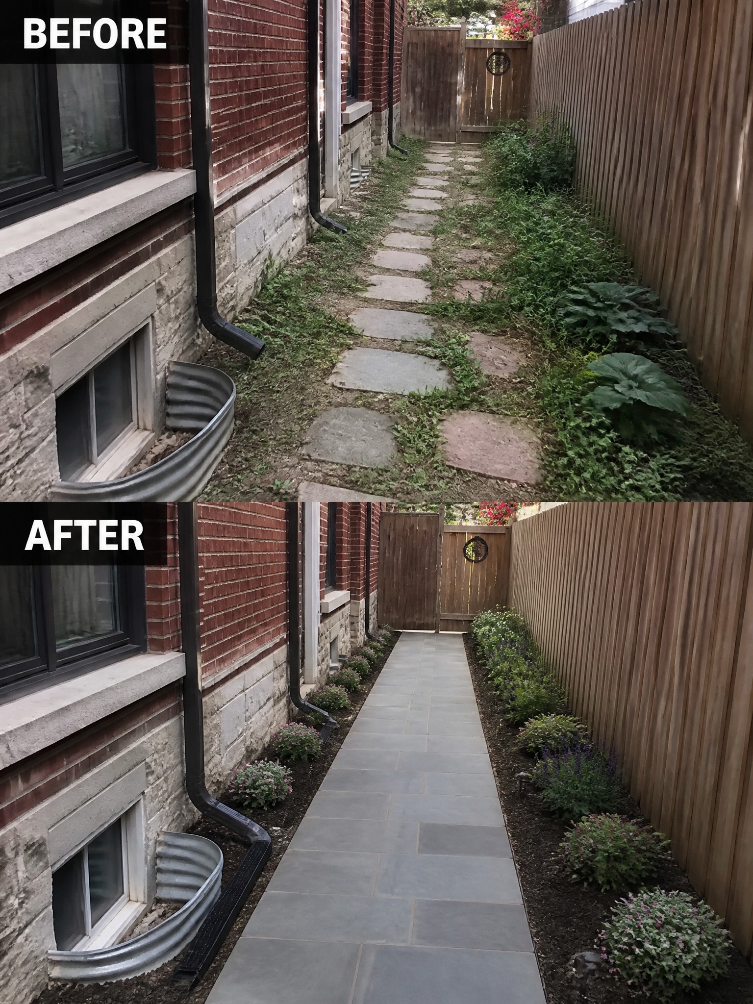 Before and after of overgrown stone path transformed into clean paved garden walkway.