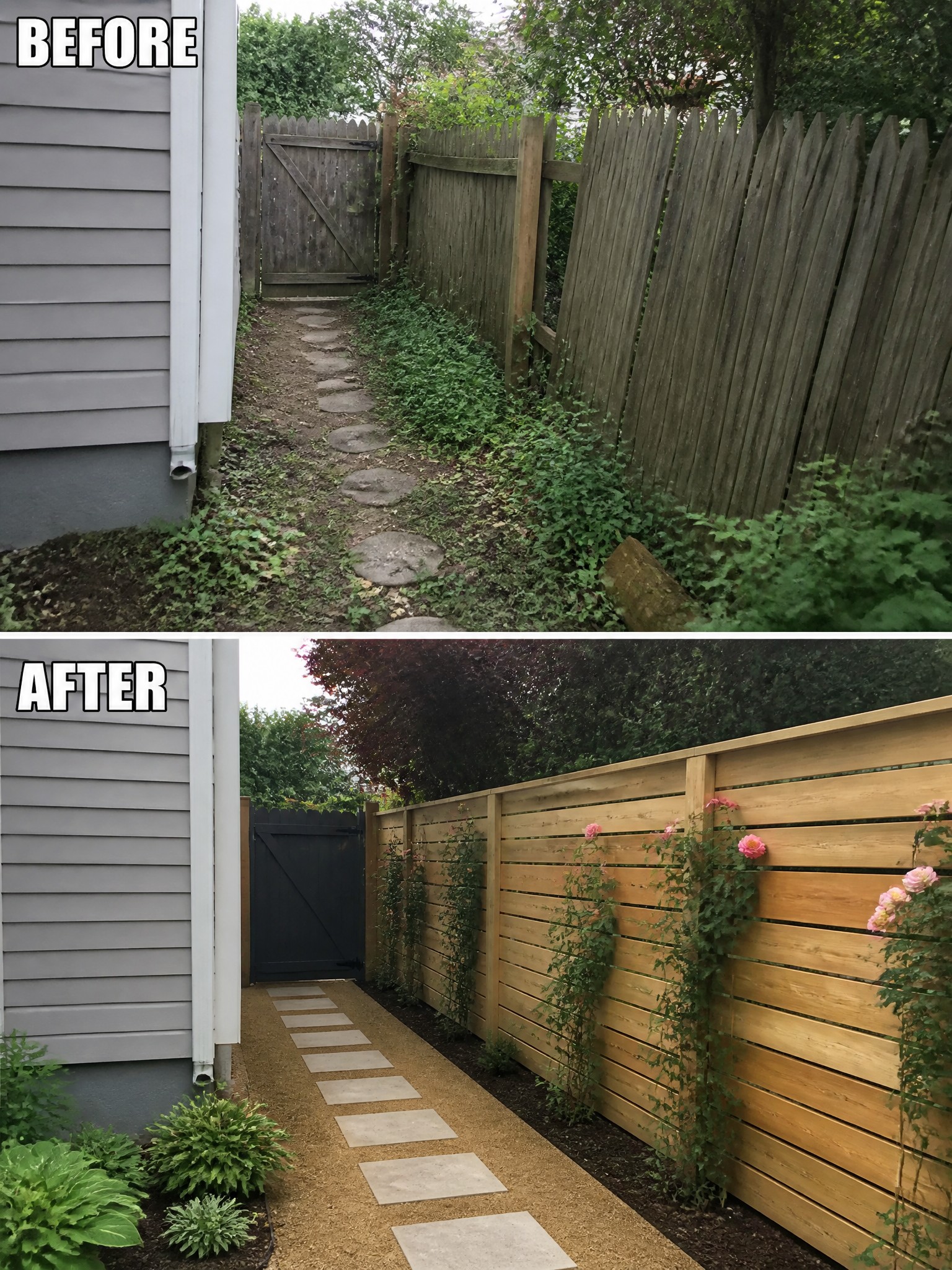 Before and after of overgrown path transformed into neat garden with modern fence.
