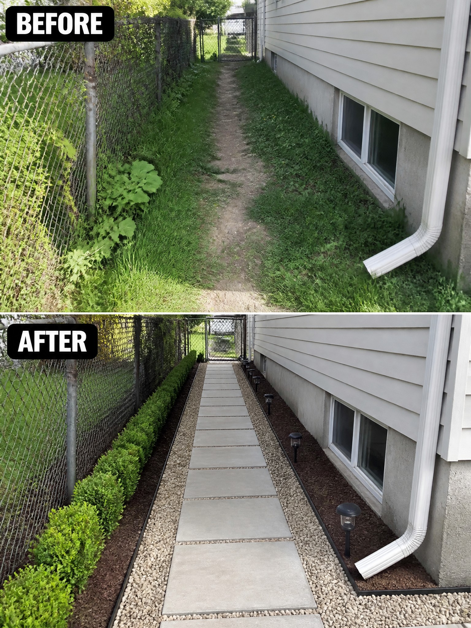 Before-and-after image of an overgrown side yard path changed into a clean walkway with concrete pavers, gravel borders, and planted shrubs.
