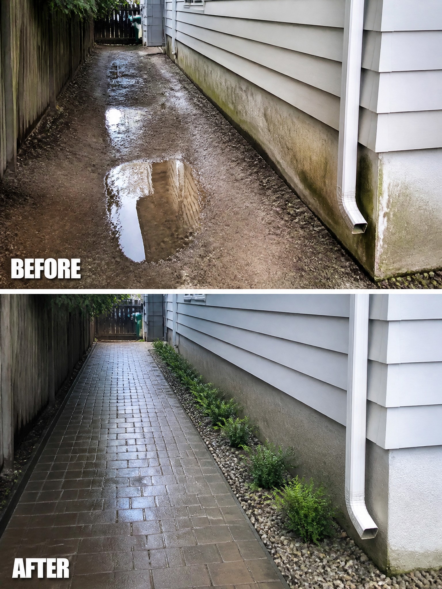 Before and after of muddy path transformed into brick-paved walkway with gravel and plants.