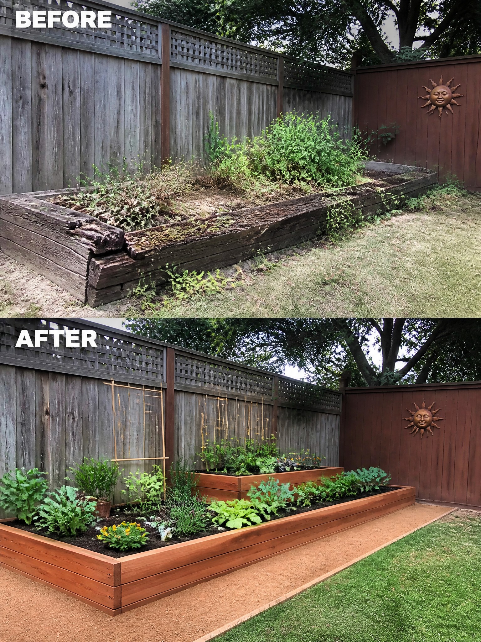 Before and after of weathered raised garden bed transformed into neat vegetable planters