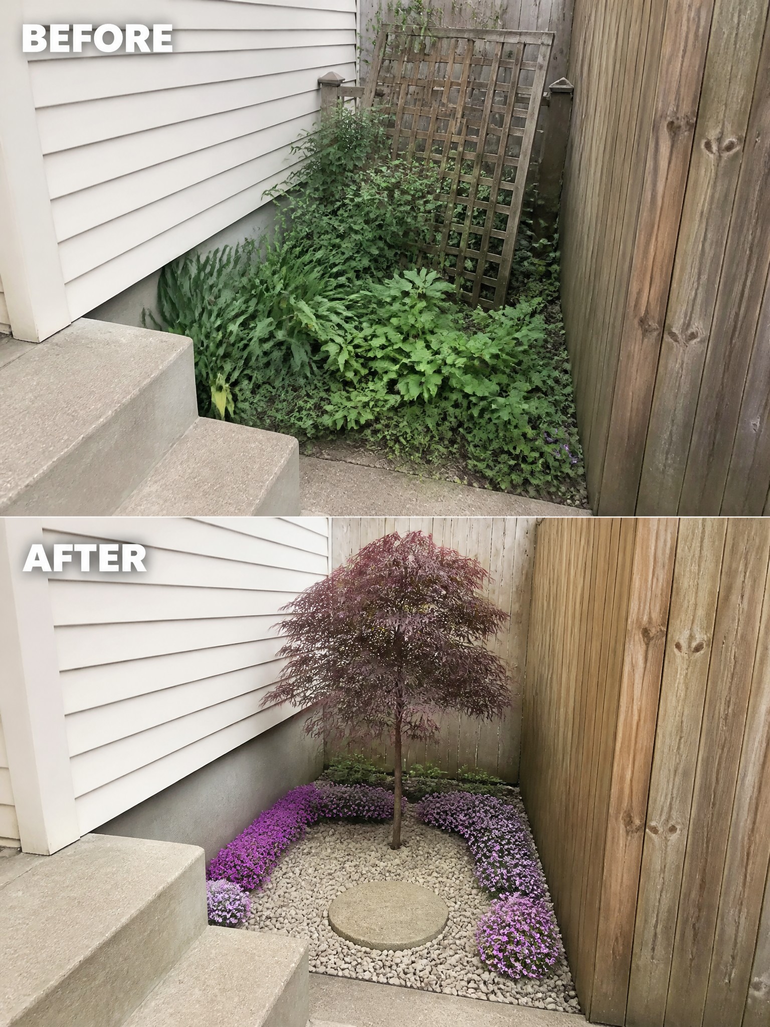 Before and after of overgrown garden next to steps, now with red tree and purple flowers