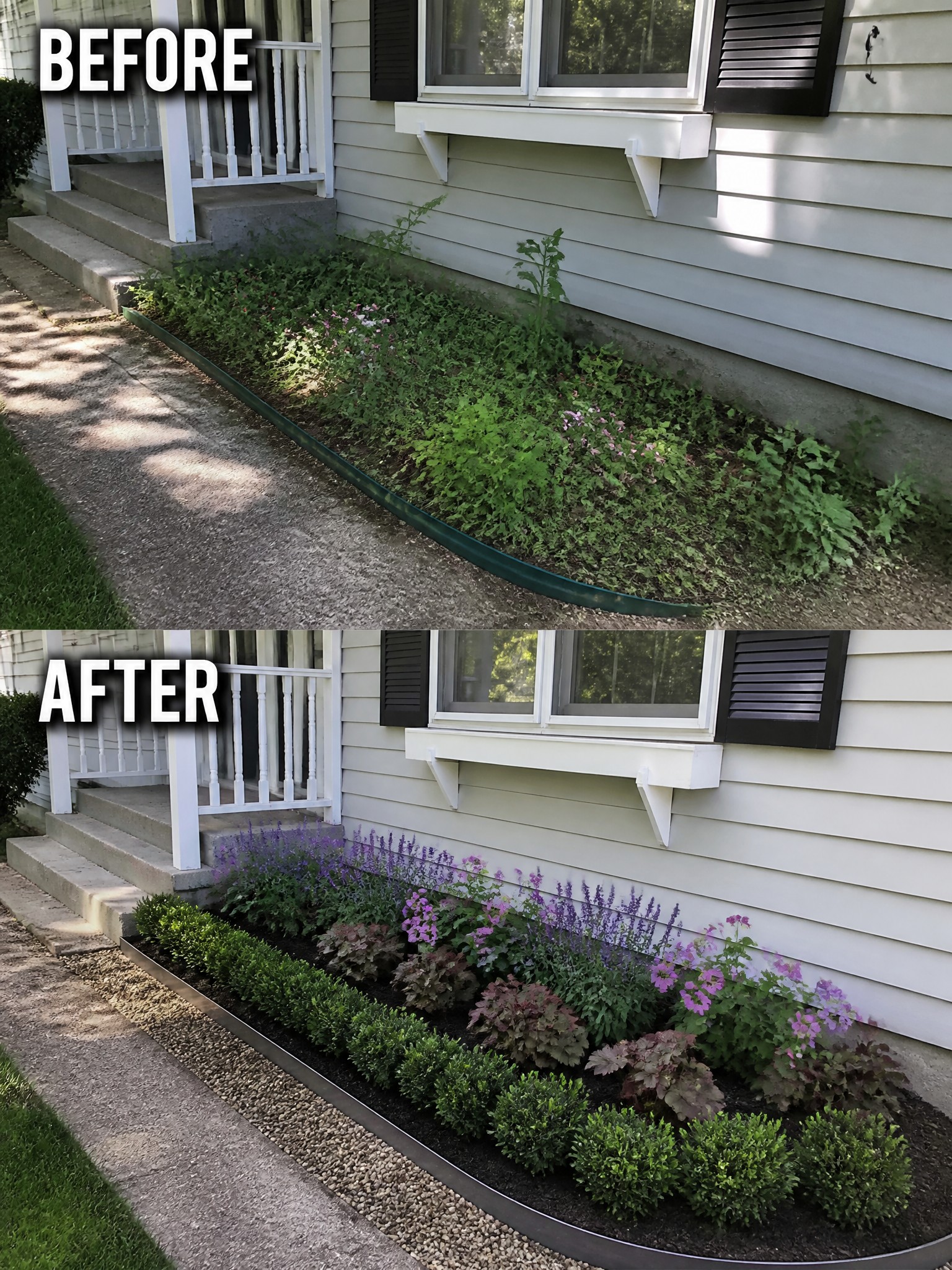Before-and-after image of an overgrown foundation flower bed changed into a neatly edged garden with structured rows of shrubs and flowers.