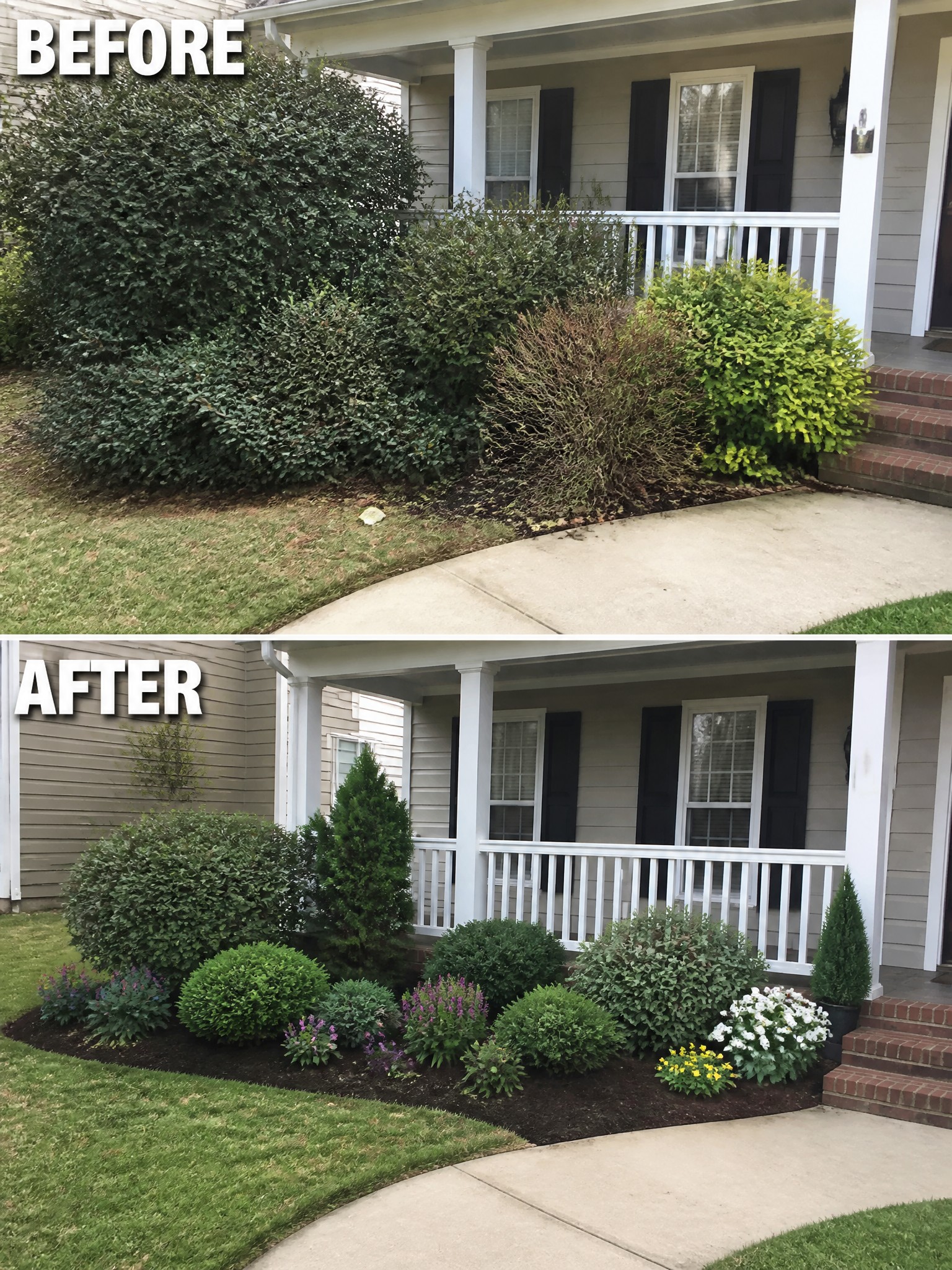 Before and after of house landscaping with overgrown bushes replaced by neat shrubs and flowers