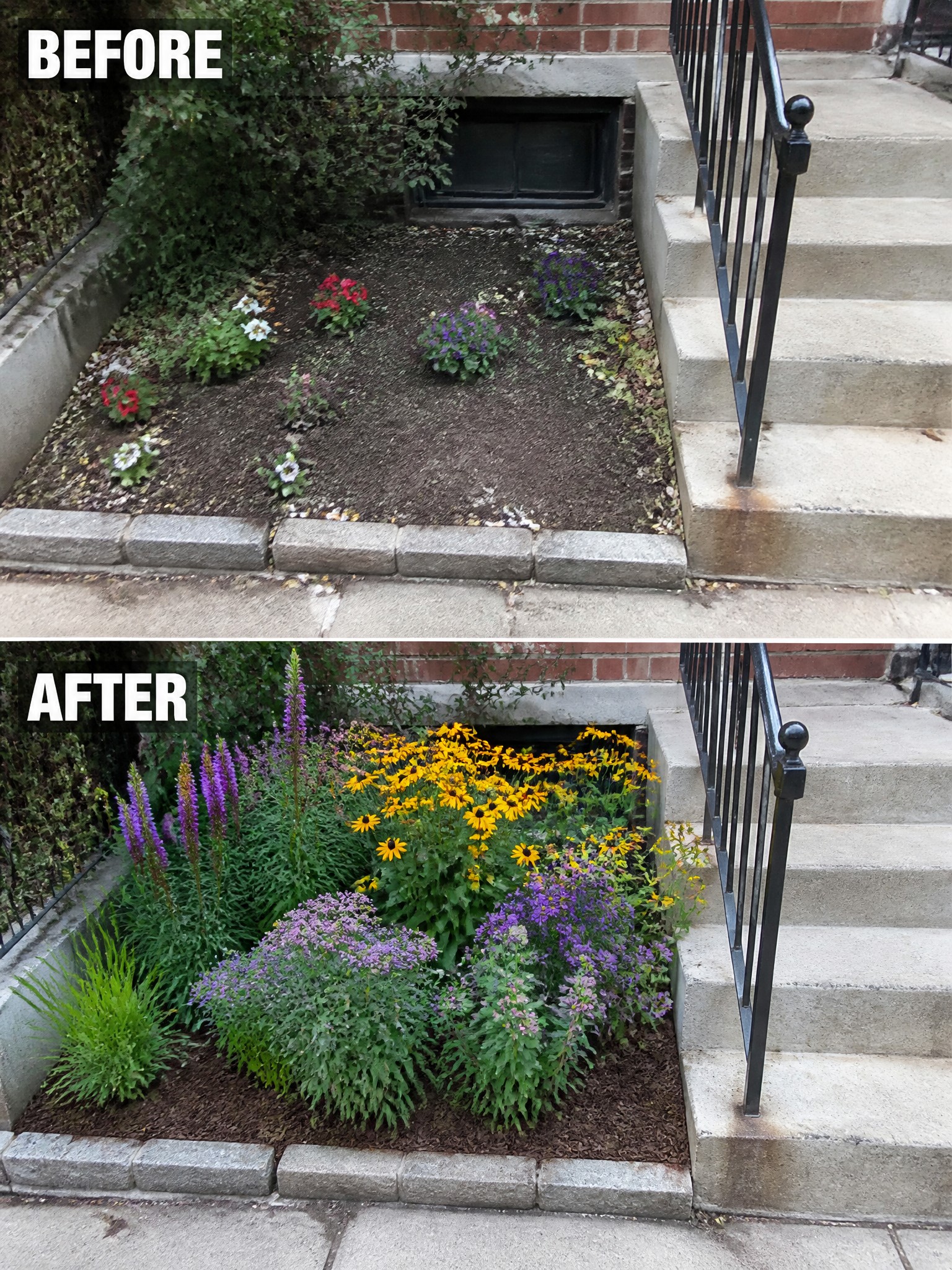 Before and after of sparse versus lush colorful flower garden beside concrete stairs.
