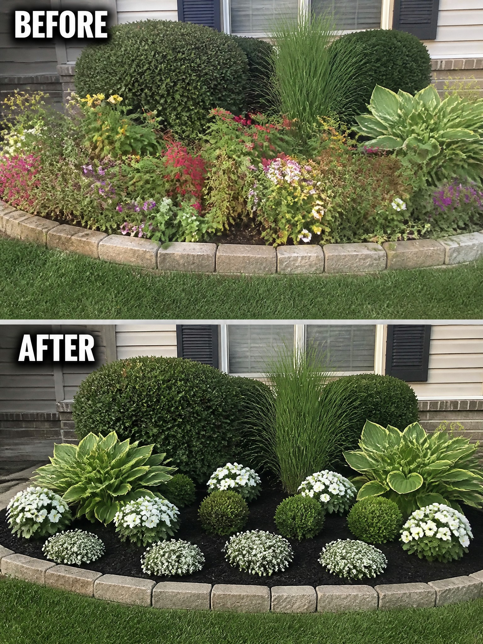 Before-and-after image of an overgrown flower bed changed into a neat garden with grouped white flowers, hostas, shrubs, and black mulch.