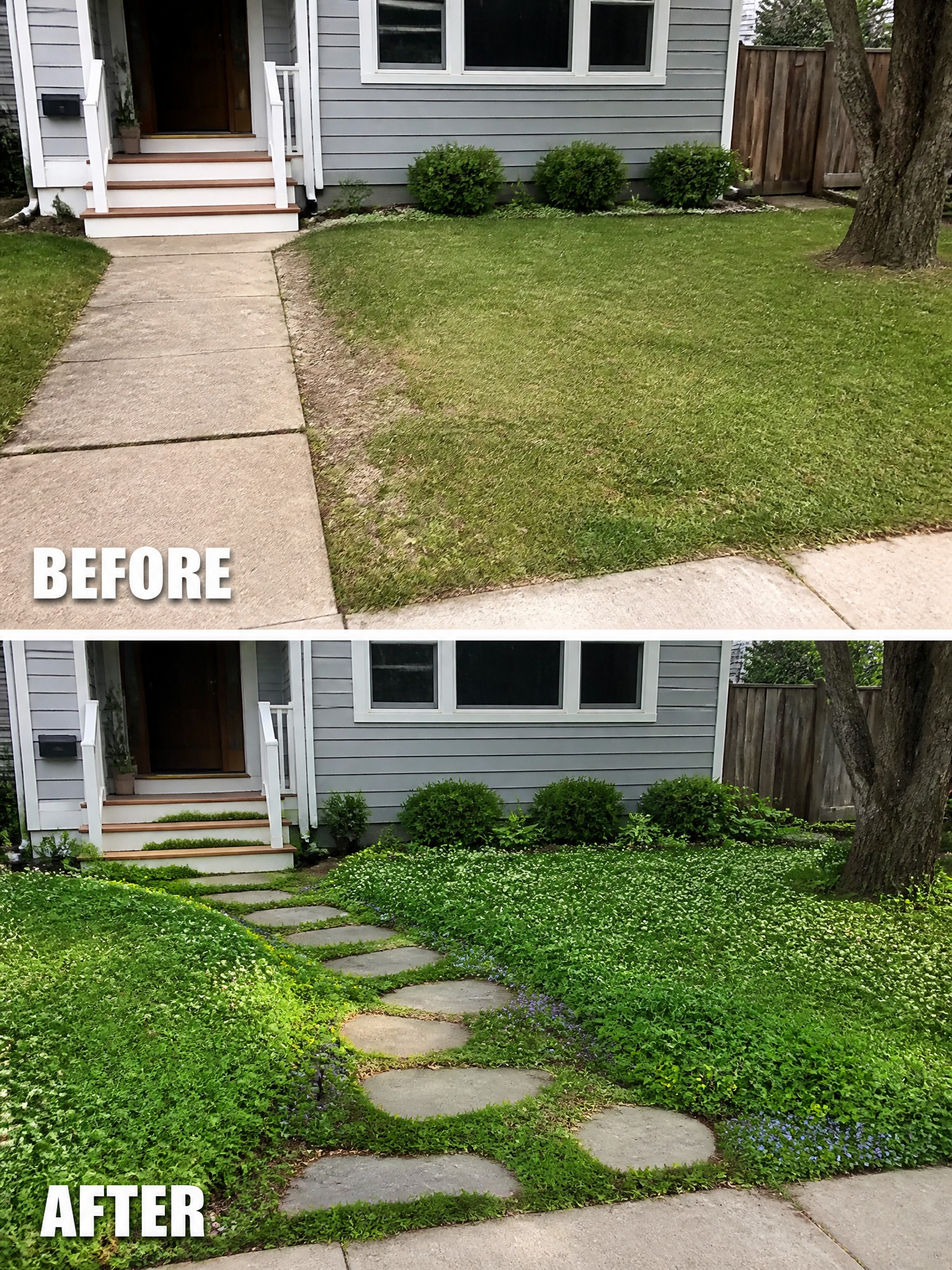 Before-and-after image of a front yard showing a plain lawn next to a concrete walk changed by adding a curved stepping stone path with flowering ground cover.