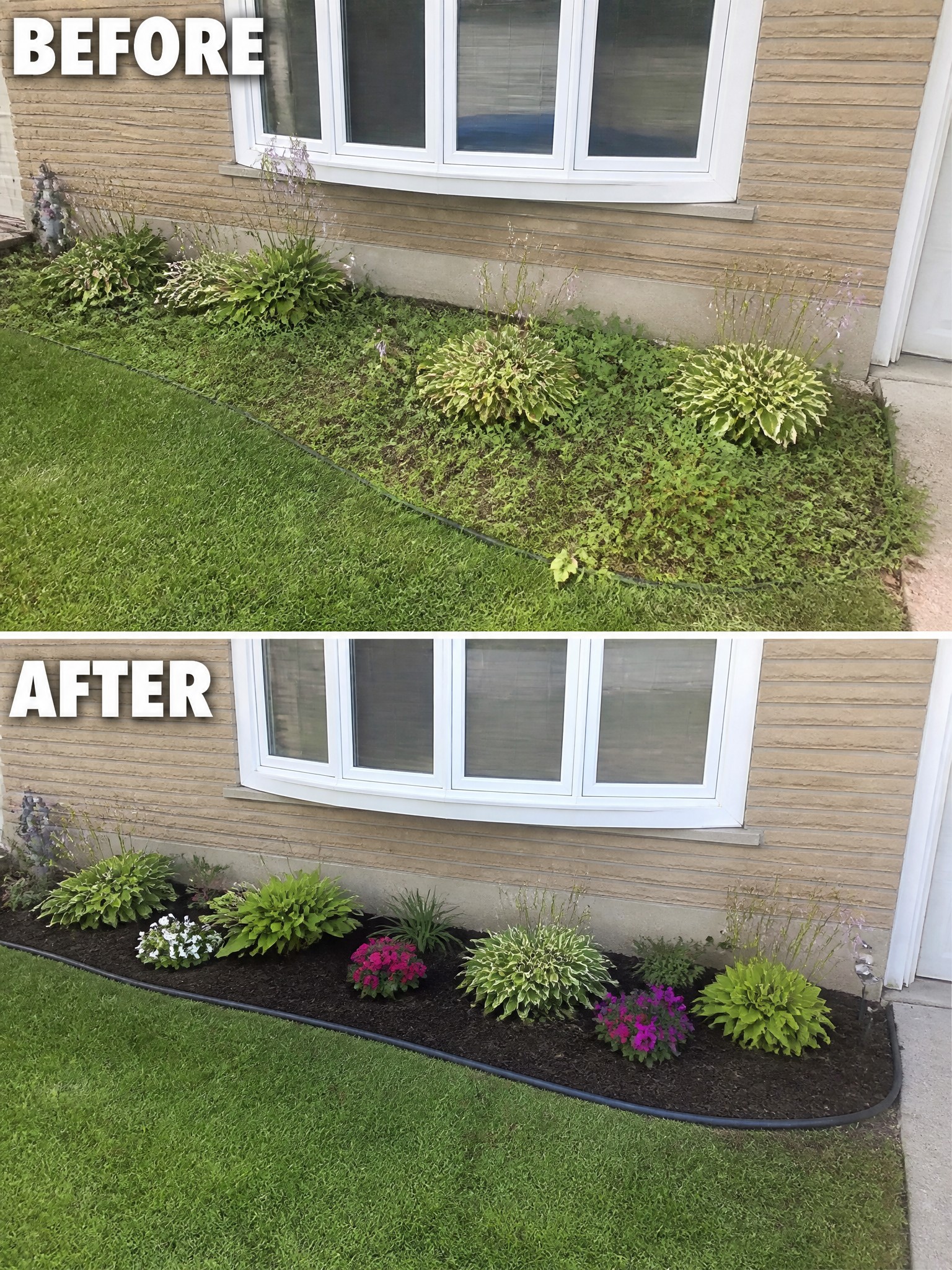 Before and after of overgrown garden bed transformed into neat mulched flower border