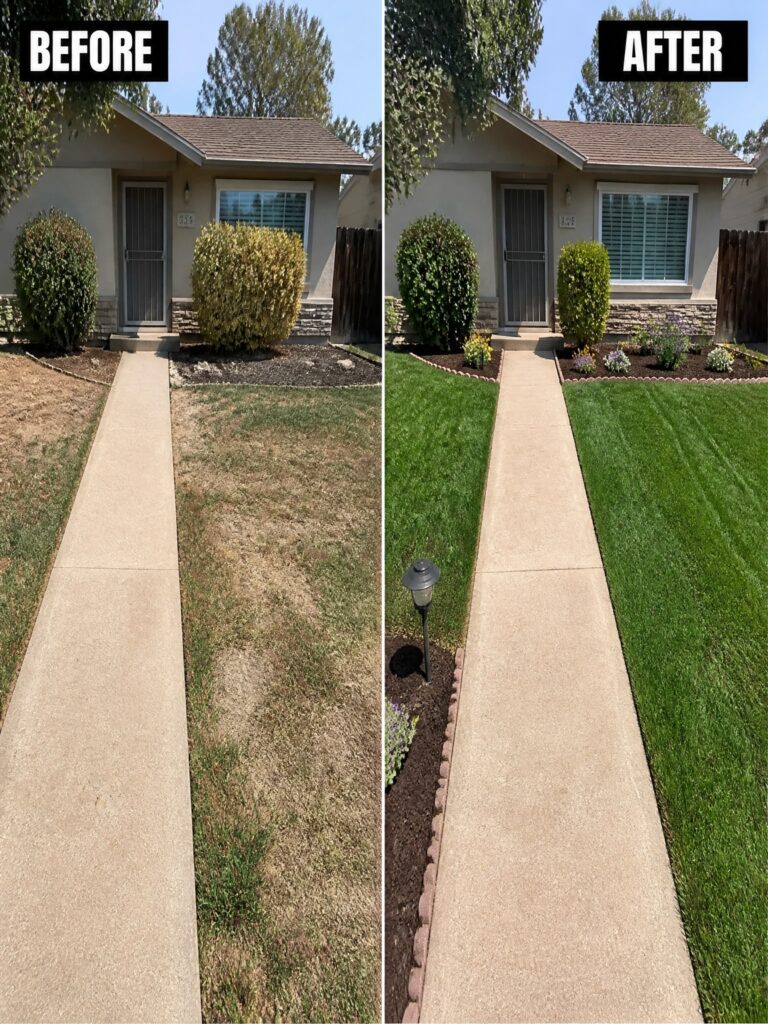 24 Simple Front Lawn Makeover Ideas That Improve The Whole Yard Before and after yard makeover with green lawn, trimmed bushes and flowers