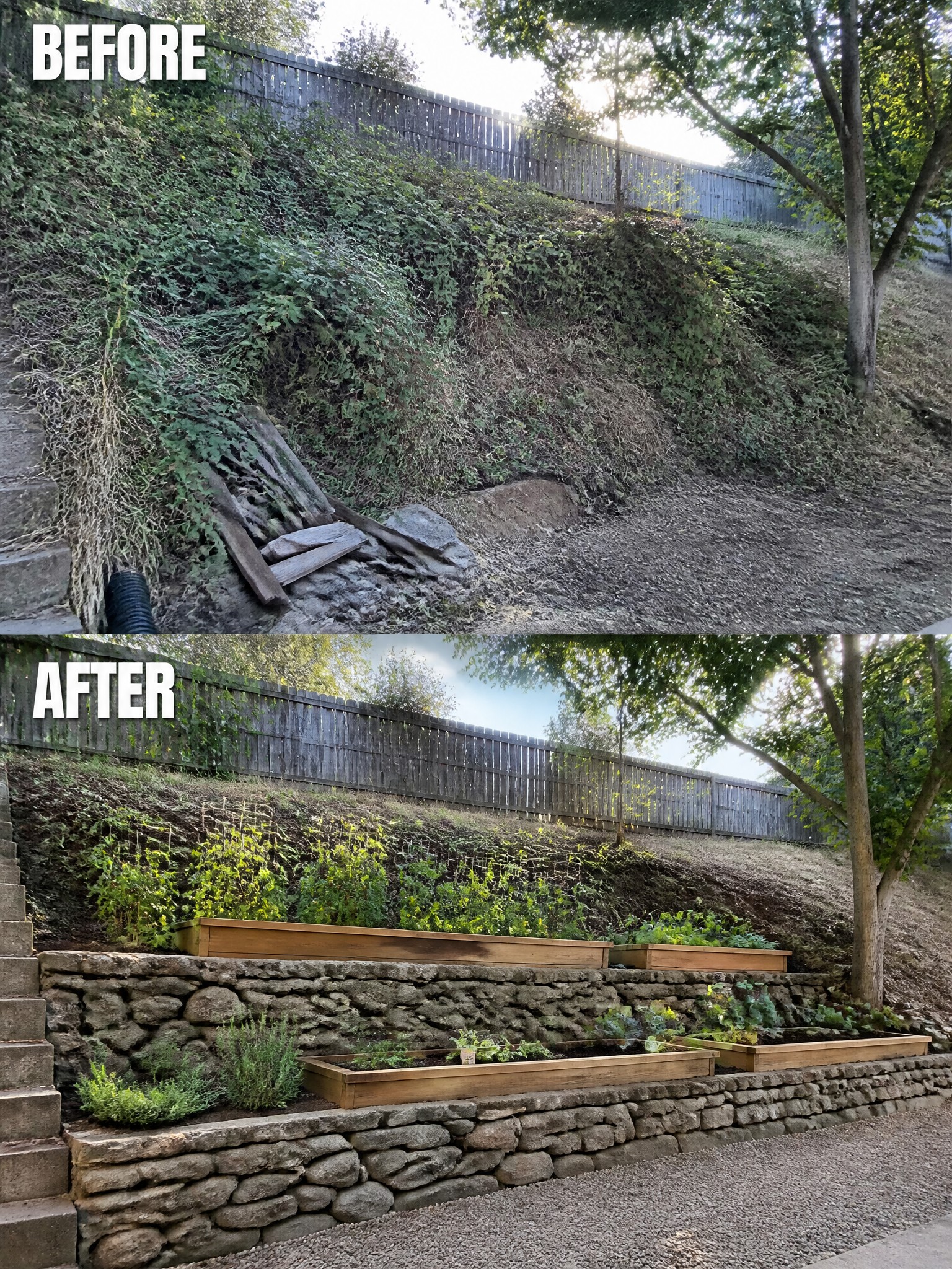 Before-and-after of overgrown slope transformed into terraced garden with stone walls and raised beds