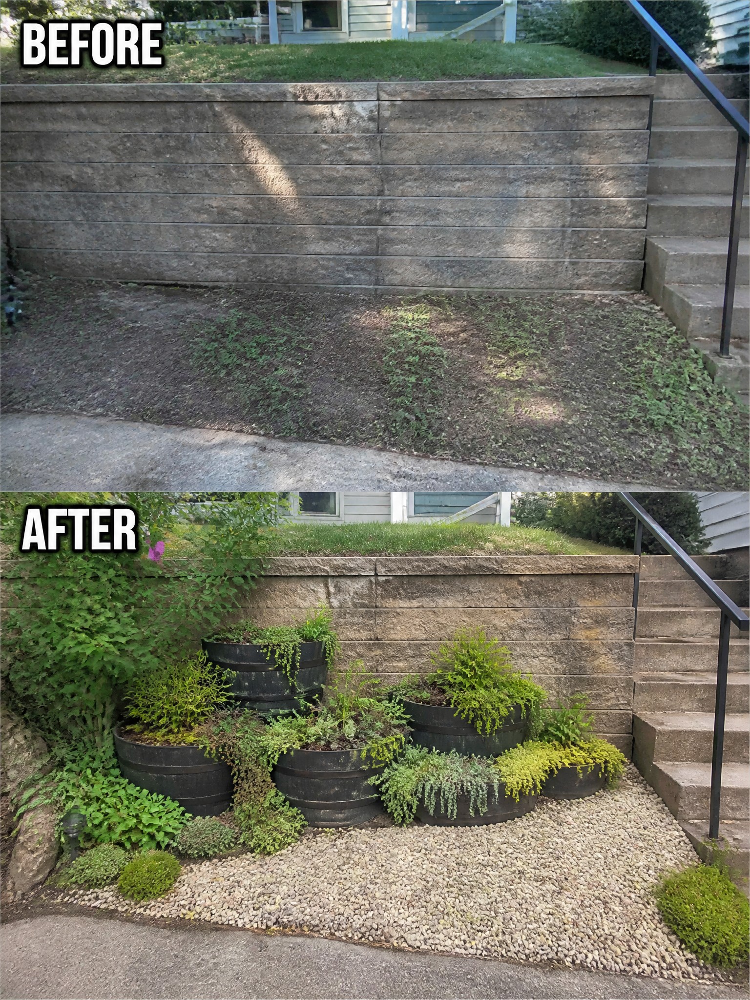 Before and after of retaining wall with added barrel planters and lush greenery