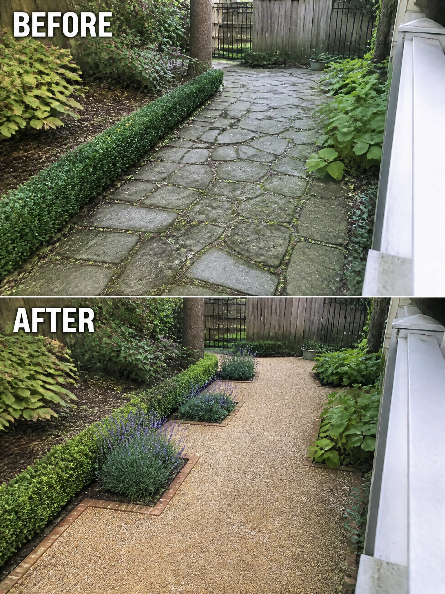 Before-and-after image of an overgrown stone path transformed into a gravel walkway with brick-edged planting beds.