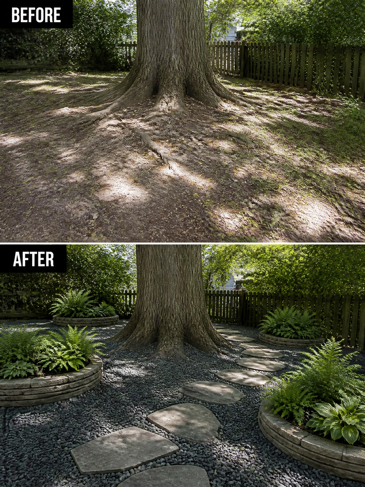Before-and-after image of an area under a large tree changed from bare dirt and exposed roots to a gravel surface with stone stepping stones and circular stone planters holding ferns and hostas.