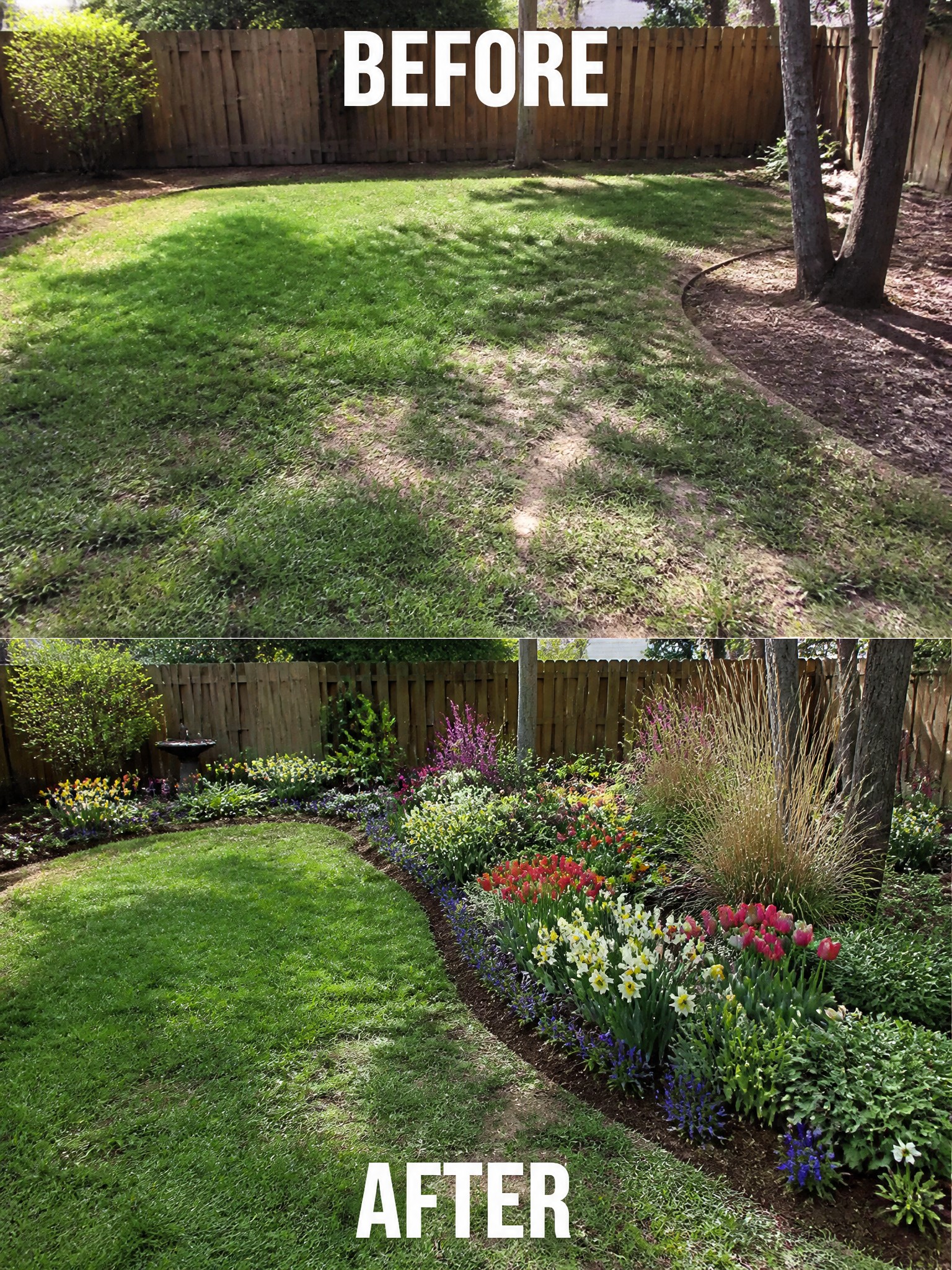 Before-and-after image of a plain backyard lawn transformed by adding colorful flower beds along the edges and around the trees.