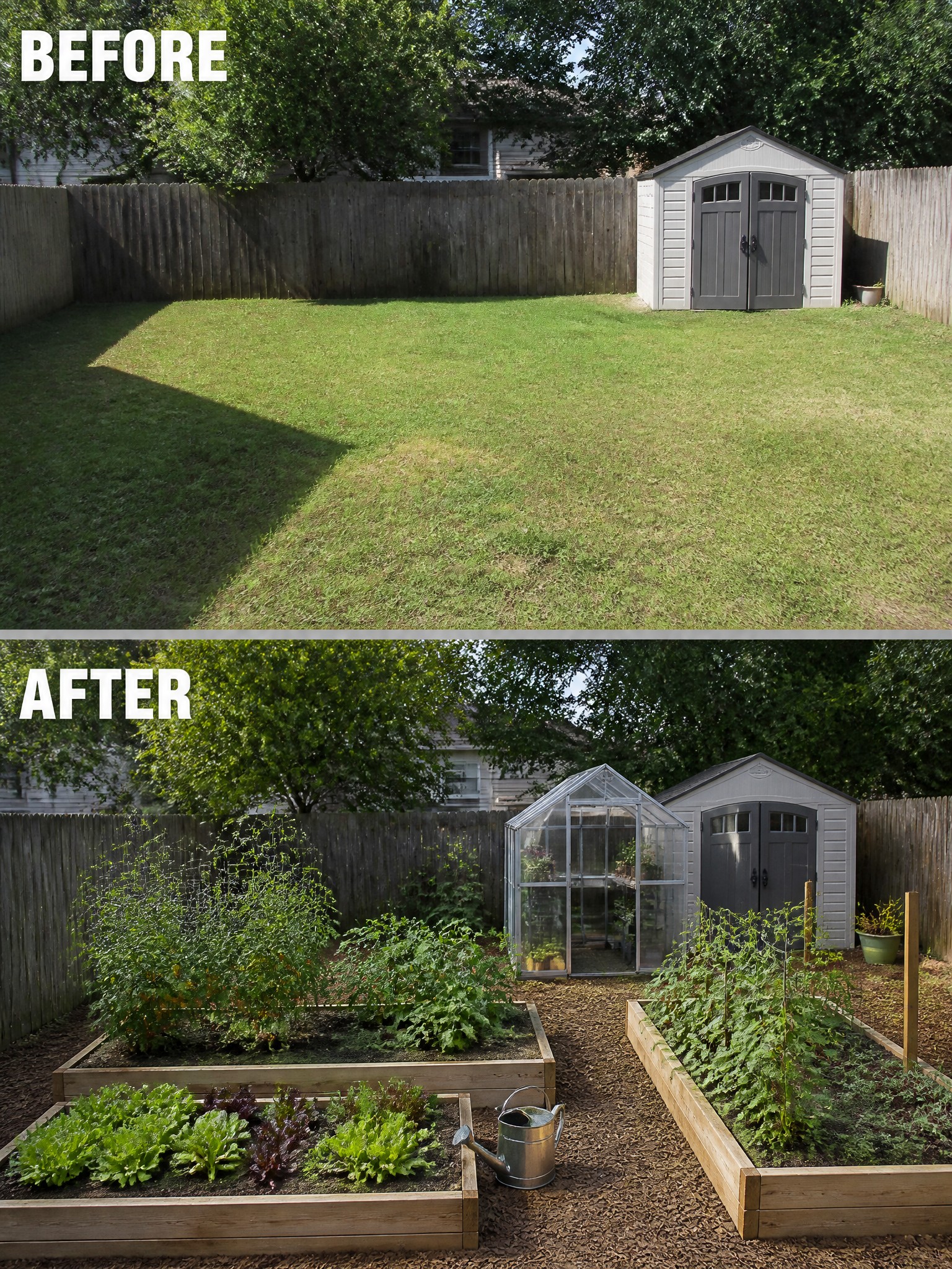 Before grassy yard and after with raised garden beds, greenhouse, and shed