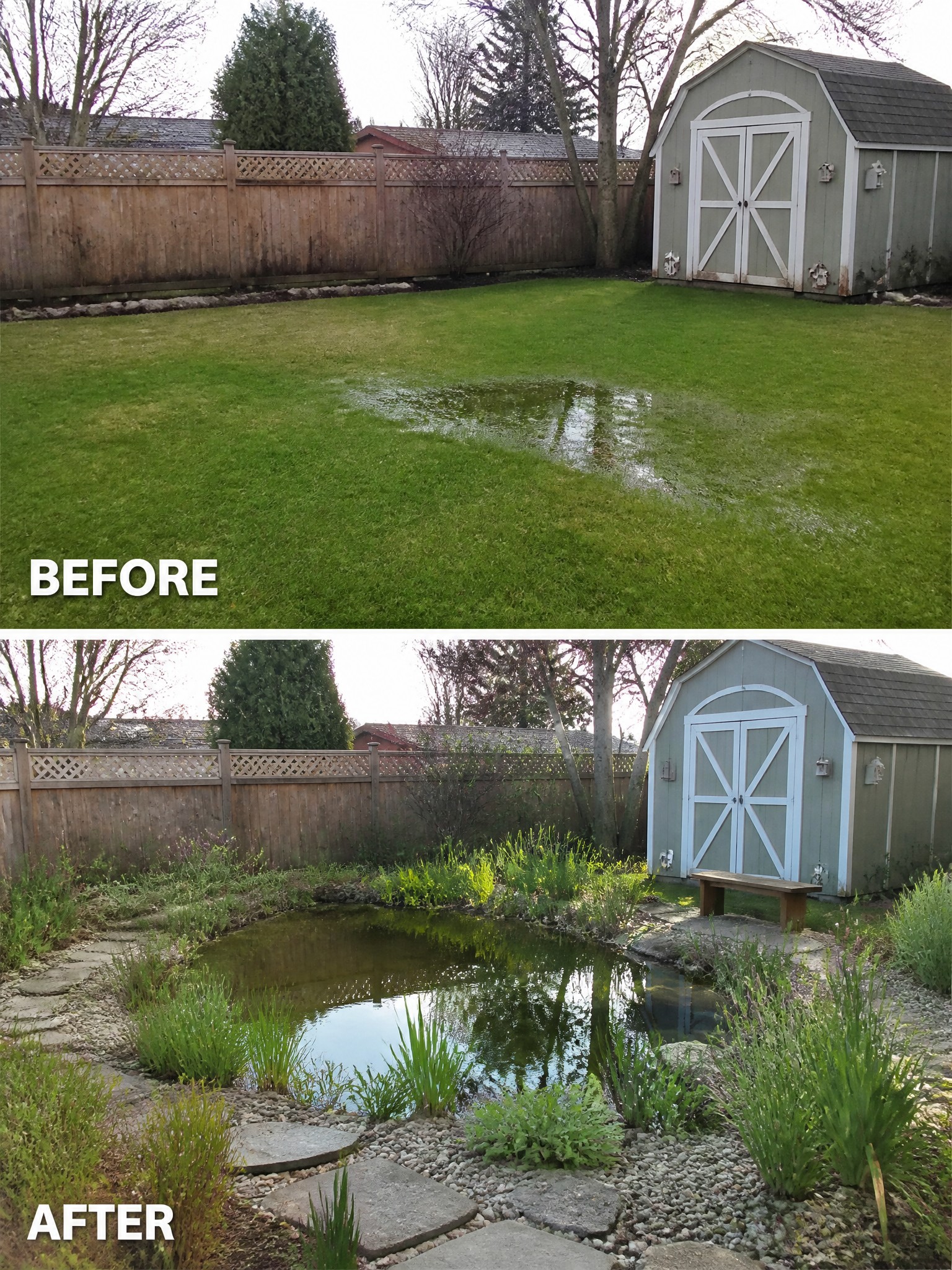 Before and after backyard: flooded lawn transformed into pond with plants, stones, and bench.