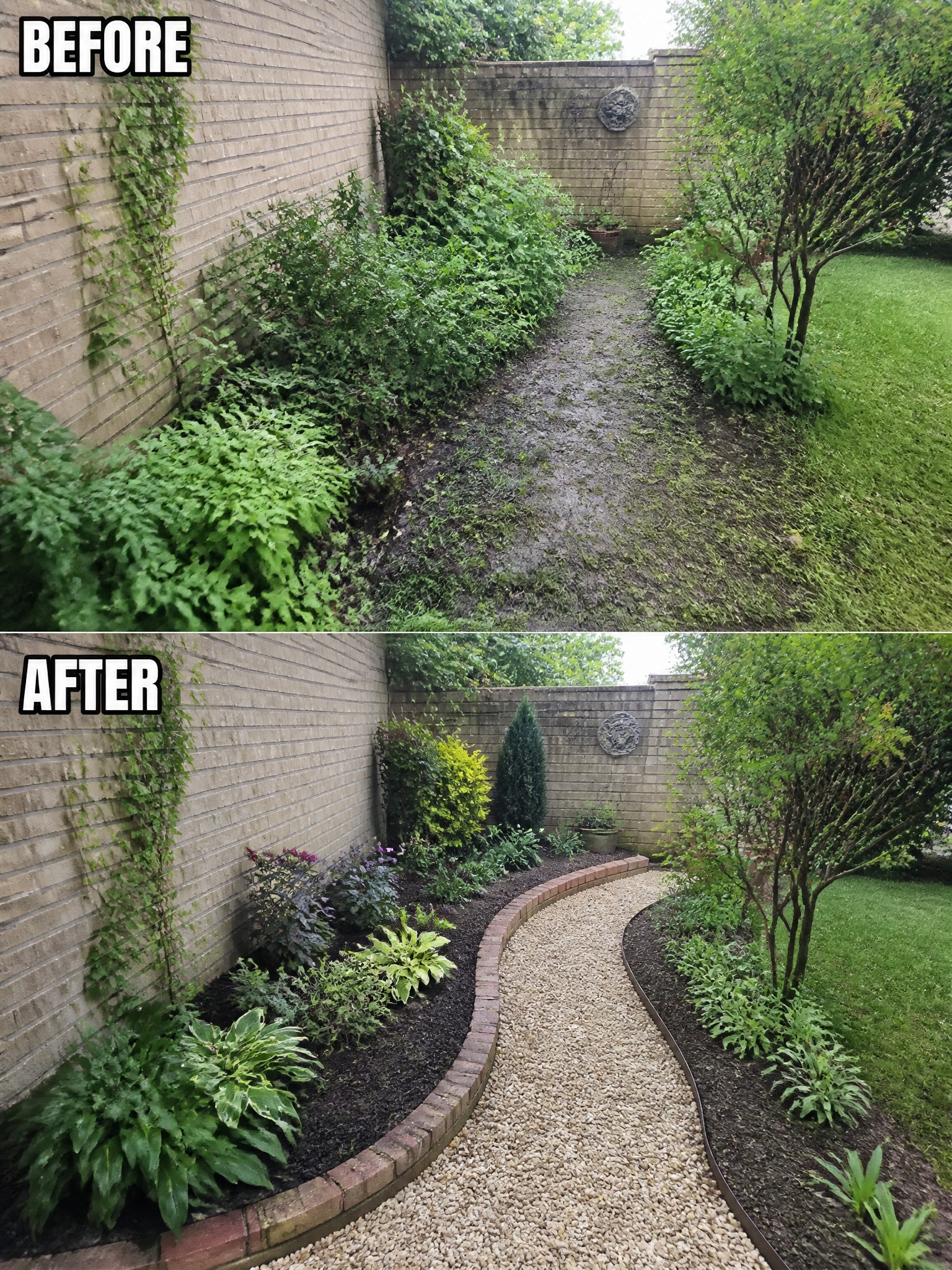 Before-and-after image of an overgrown backyard path changed into a clean gravel walkway lined with brick borders and mulched garden beds.
