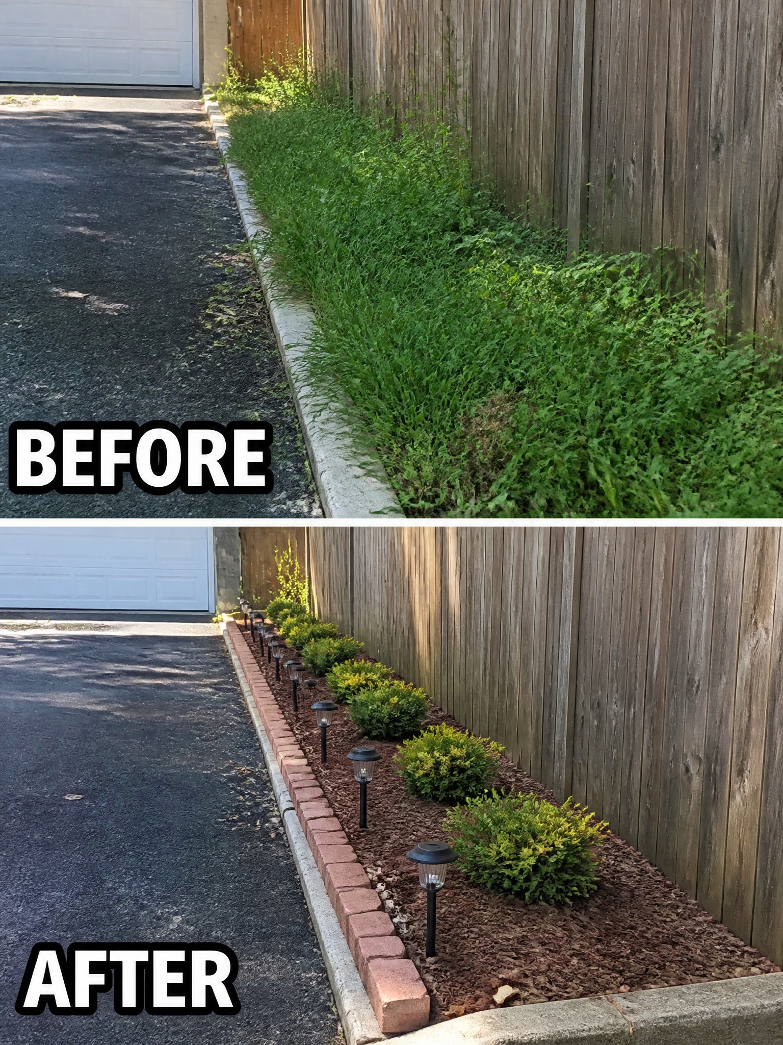 Before and after of overgrown weeds transformed into mulched shrubs with solar lights.