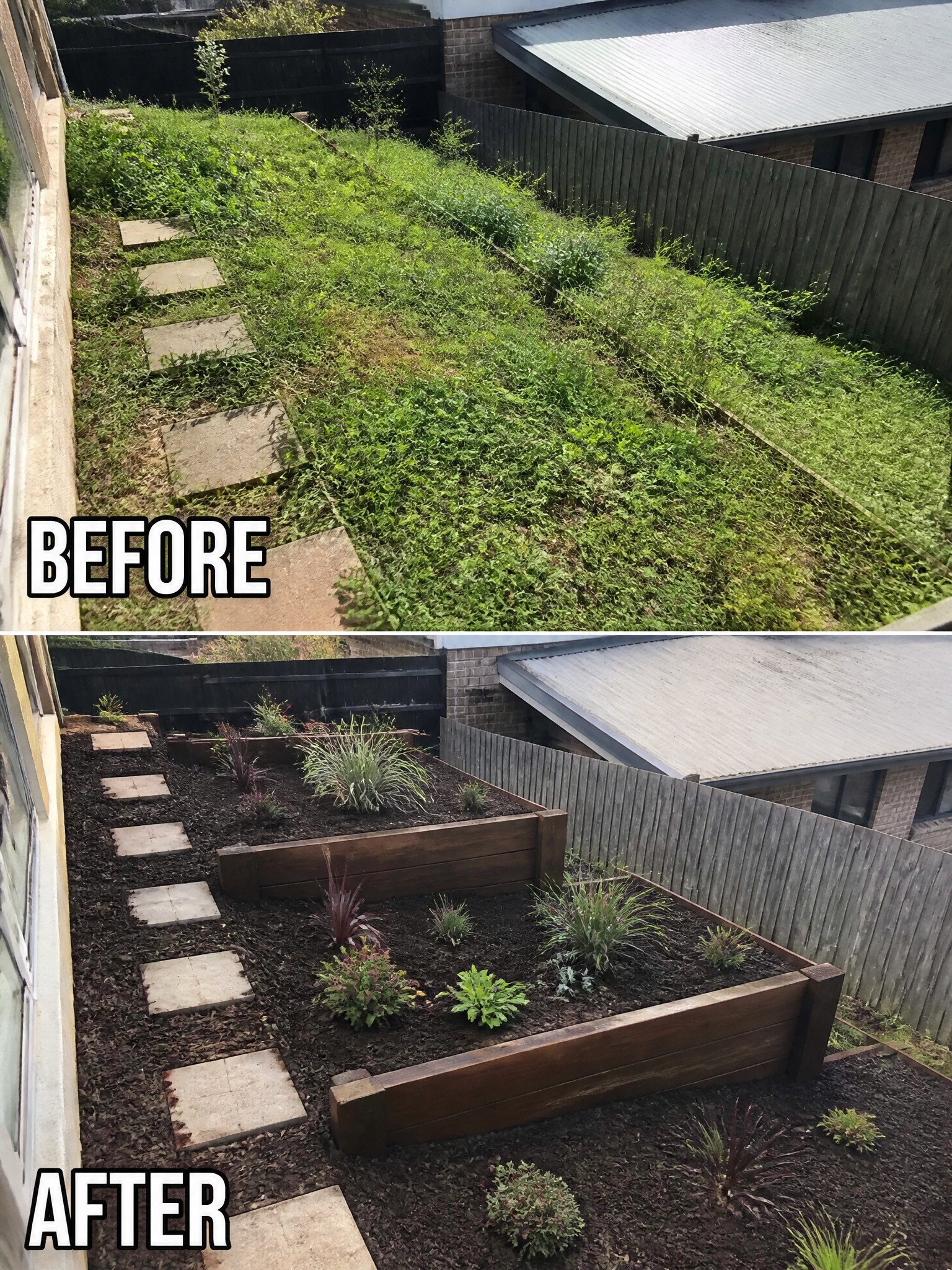Before and after of weedy slope transformed into mulched raised wooden garden beds with plants.