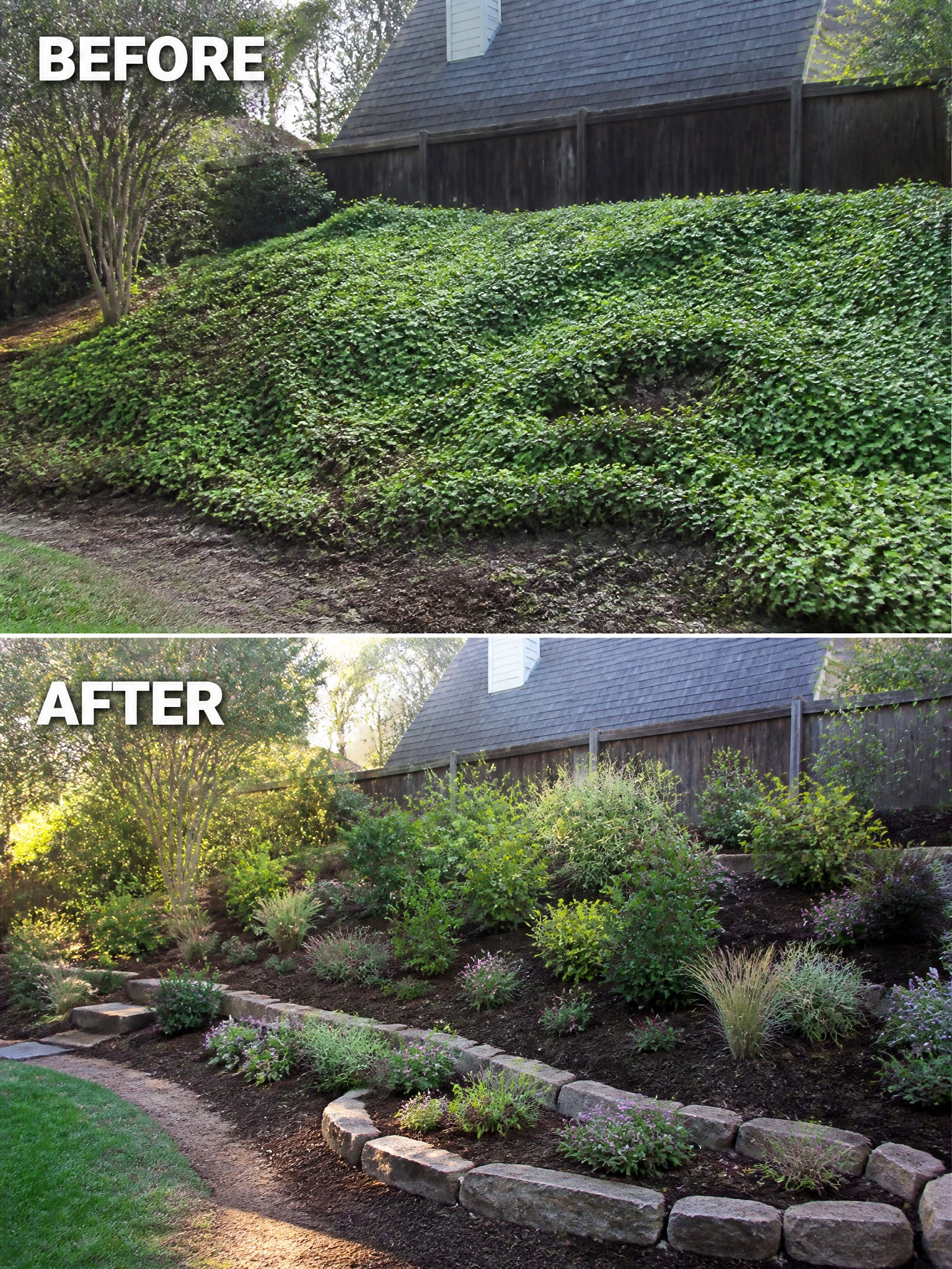 Before and after of ivy-covered slope transformed into stone-bordered garden beds with shrubs.