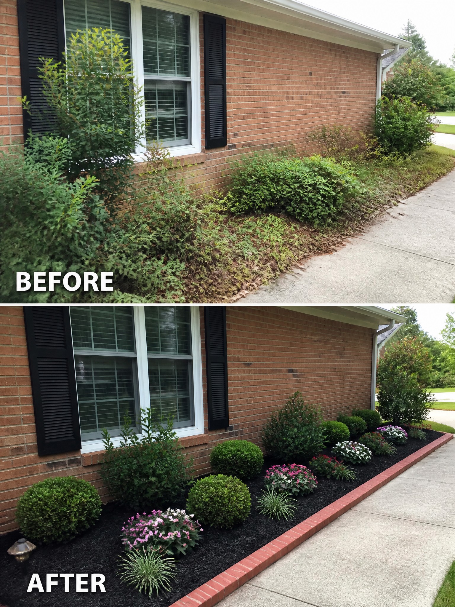 Before-and-after view of brick house landscaping with overgrown shrubs replaced by neat mulched garden bed