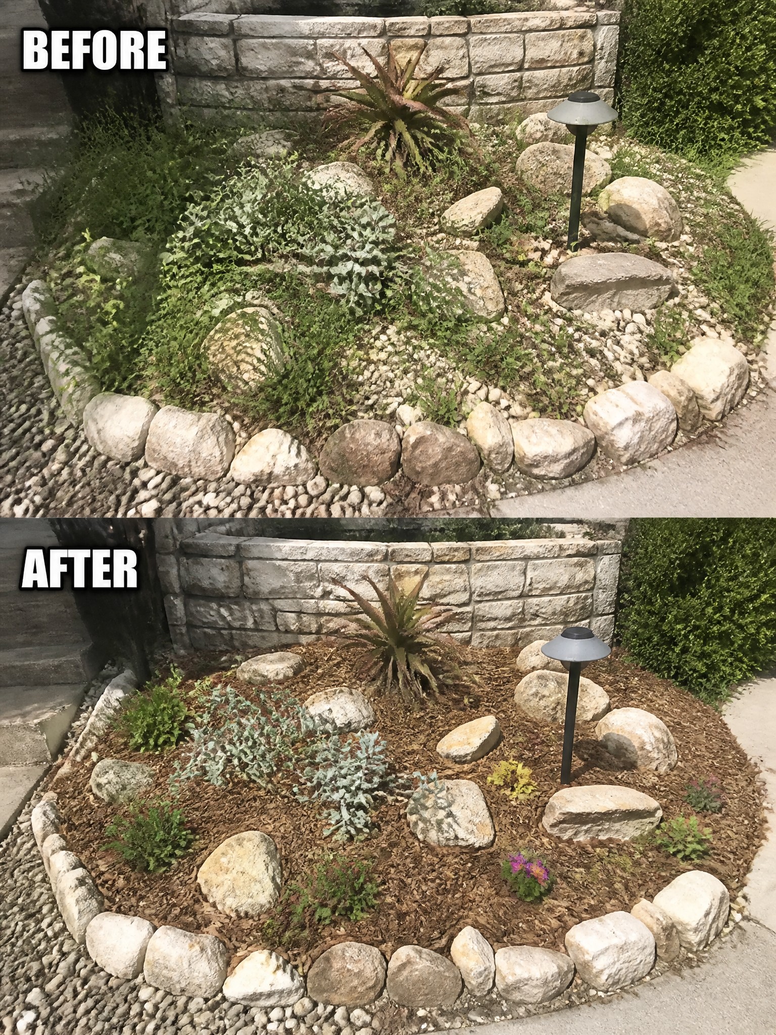 Before-and-after image of an overgrown garden bed cleaned up with mulch, rearranged rocks, and added small plants.