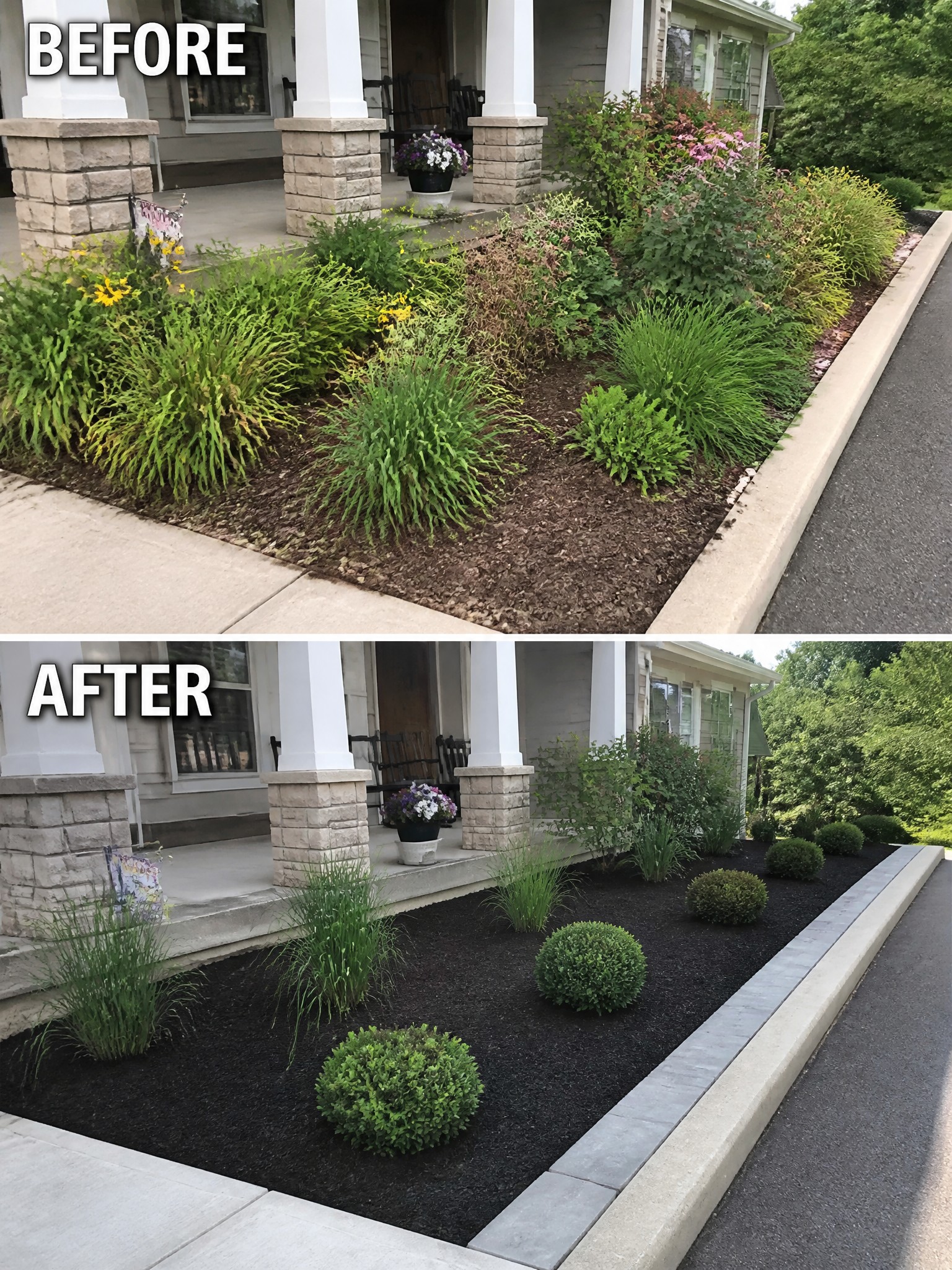 Before and after of front garden bed with mulch and shrubs.