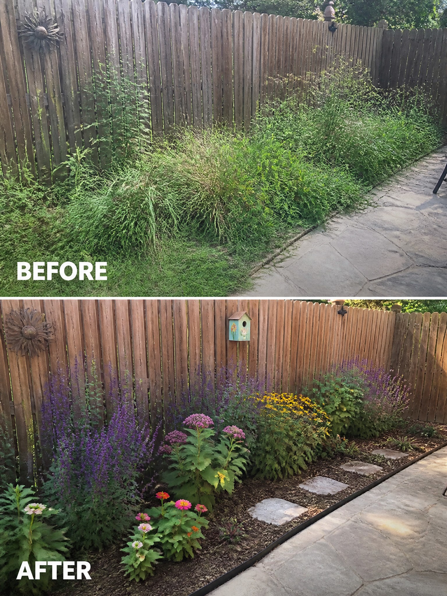 Before-and-after image of an overgrown fence line changed into defined garden beds with mulch, flowers, and stepping stones.