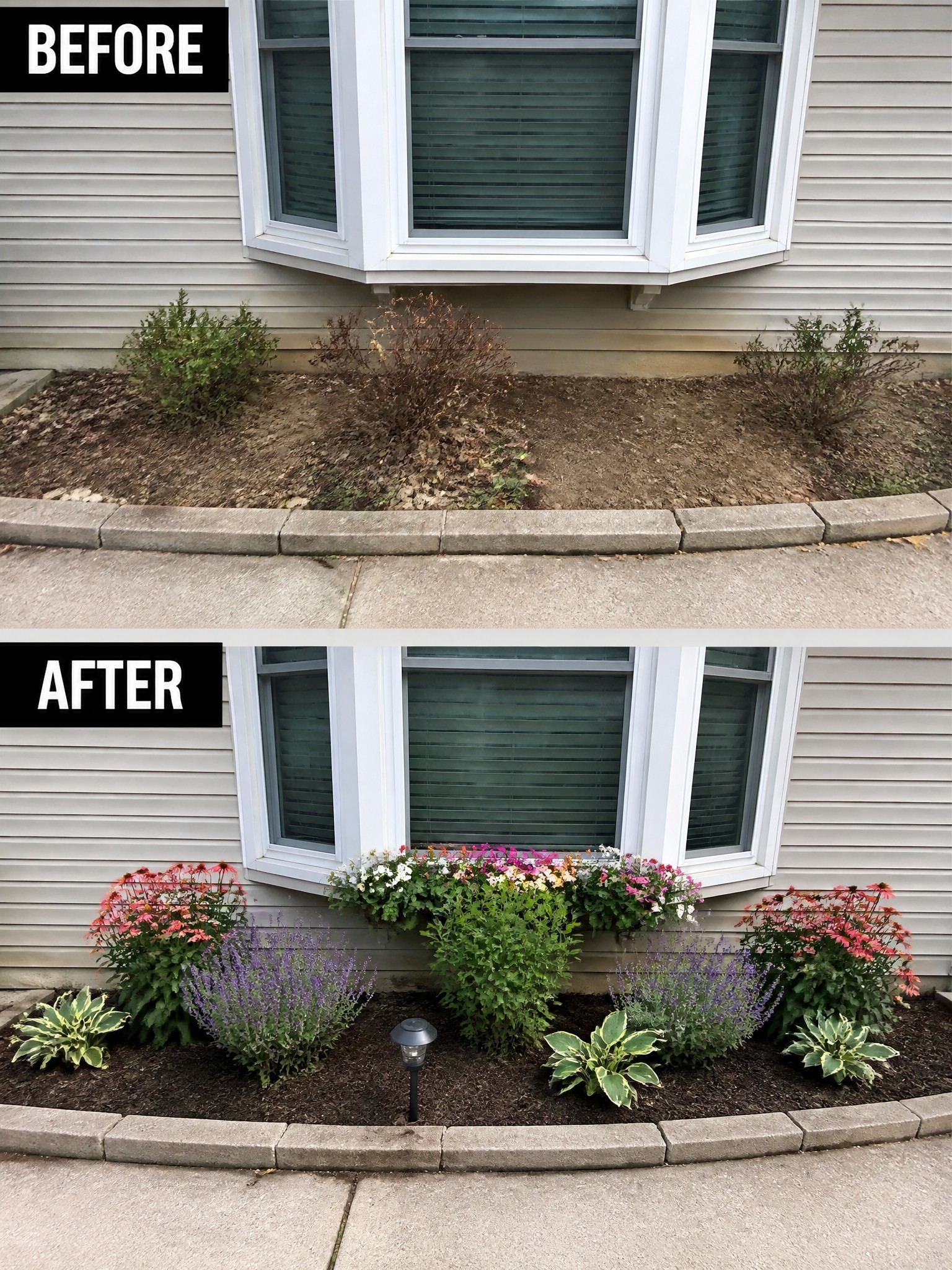 Before and after garden bed with colorful flowers under bay window