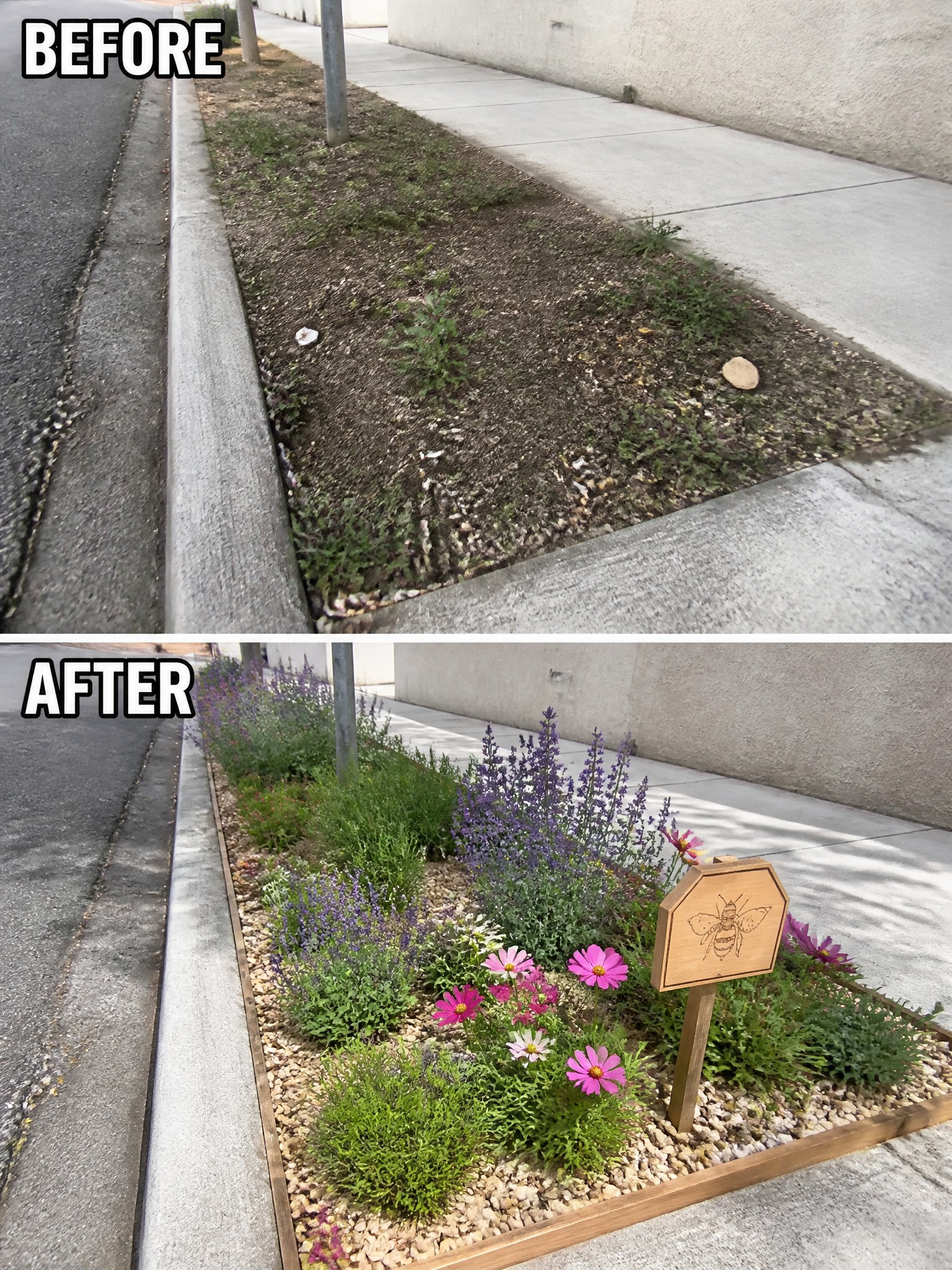 Before-and-after curb strip transformed from weeds to flower garden with bee sign