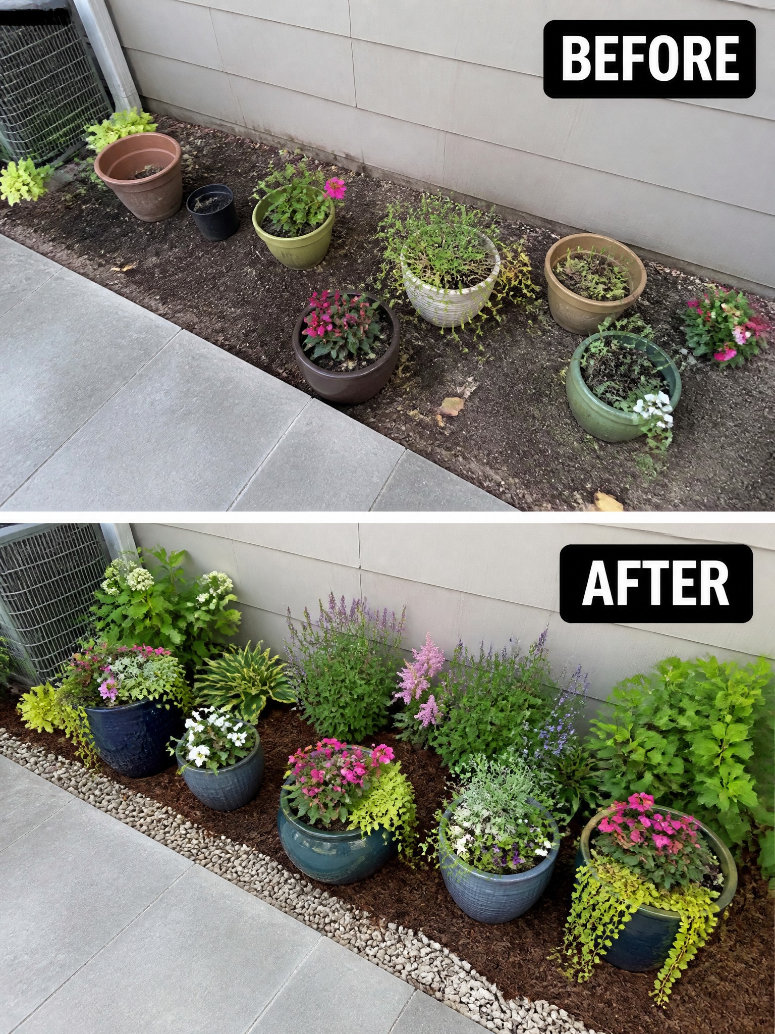 Before and after of potted plants arranged along a house wall.