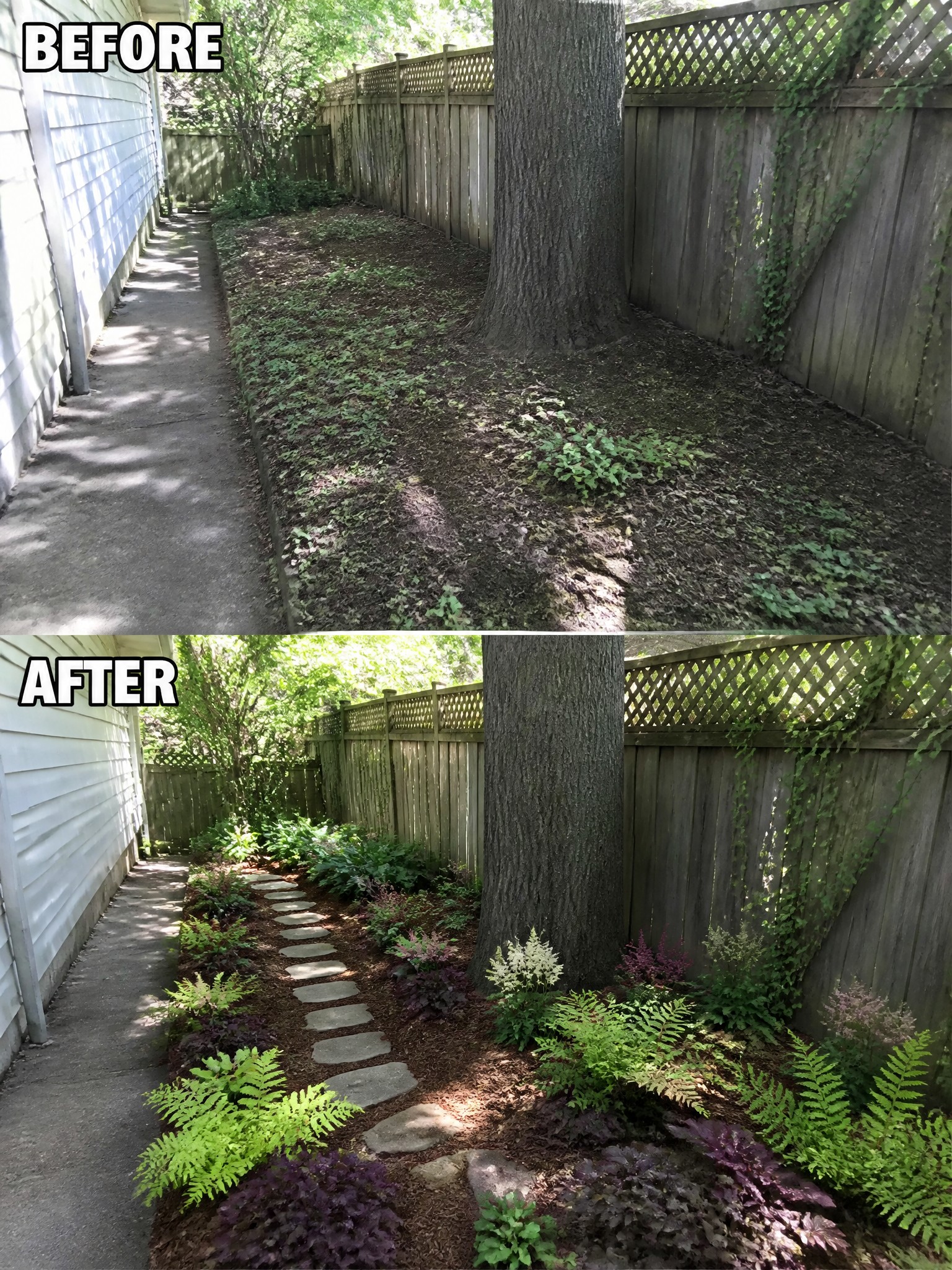 Before-and-after image of an overgrown side yard changed into a defined border with a stone path, mulch, and planted garden beds.