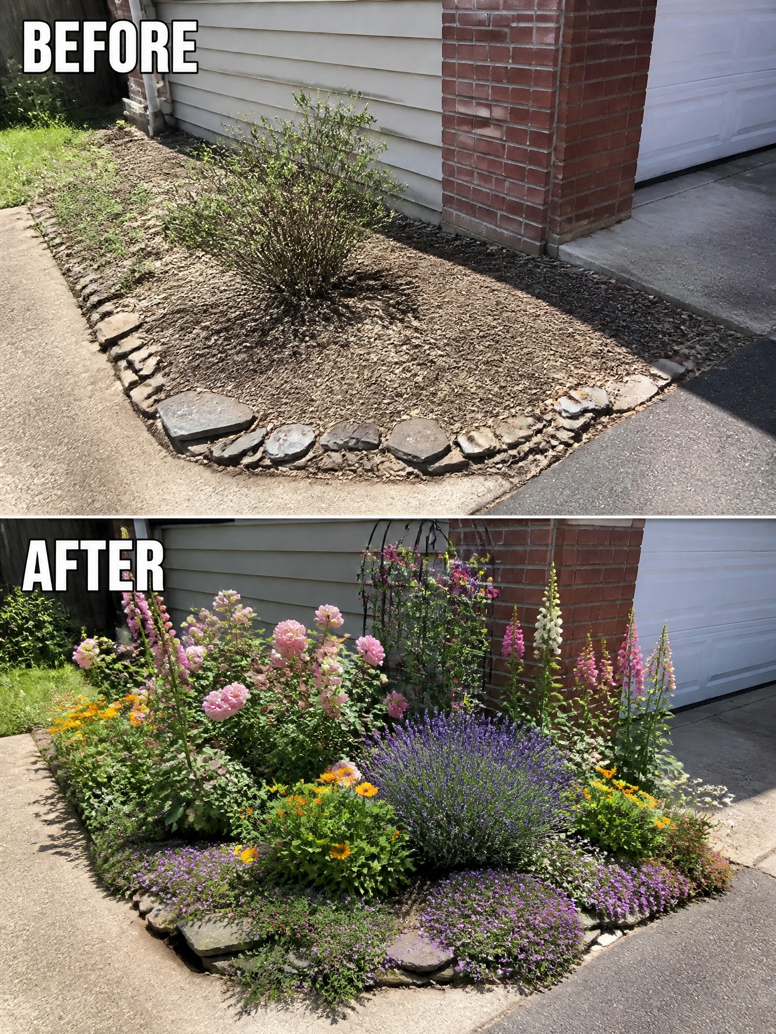 Before-and-after garden bed: sparse mulch bush transformed into colorful blooming flowers.