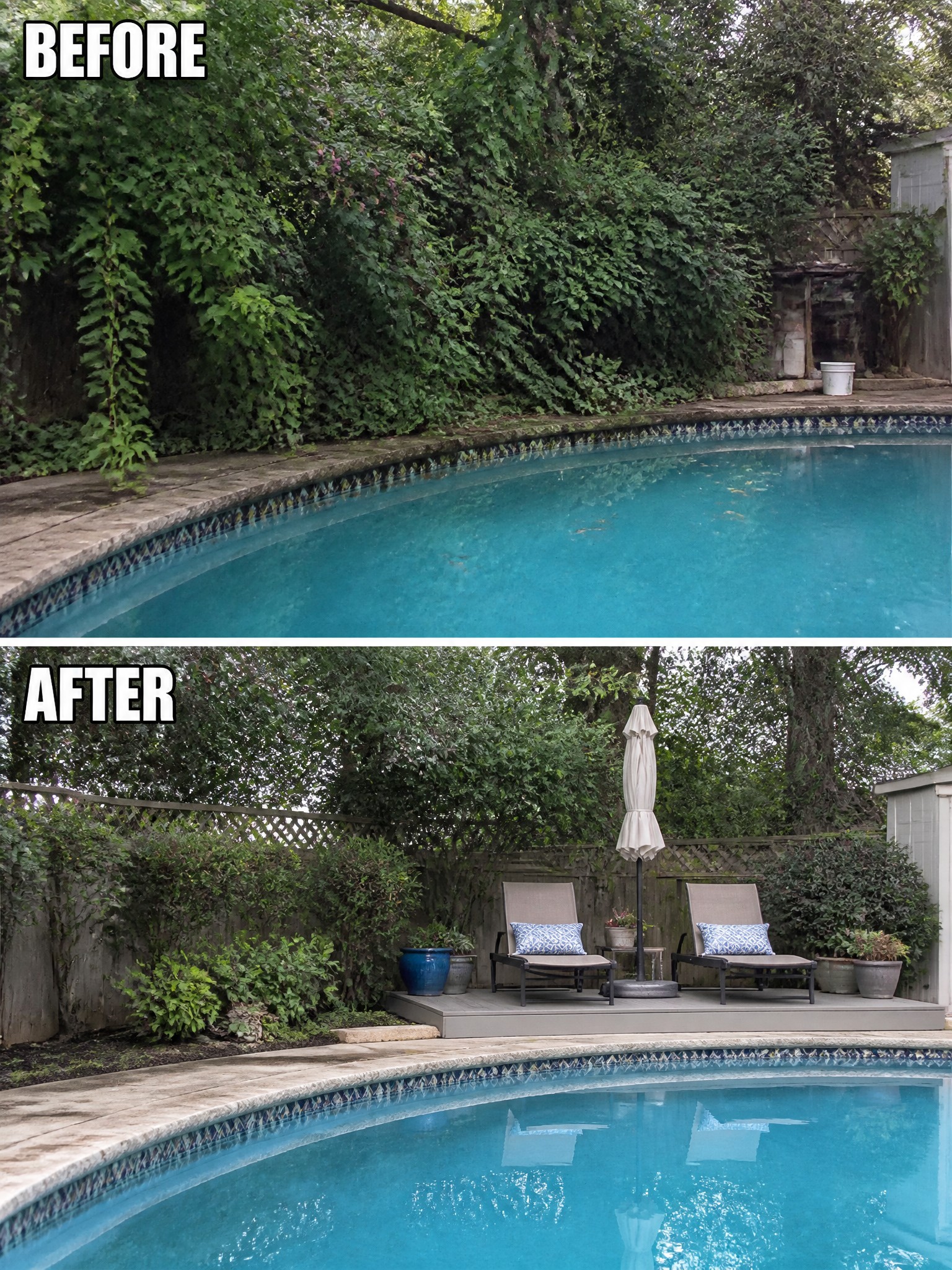 Before and after of pool with overgrown bushes replaced by deck and lounge chairs.