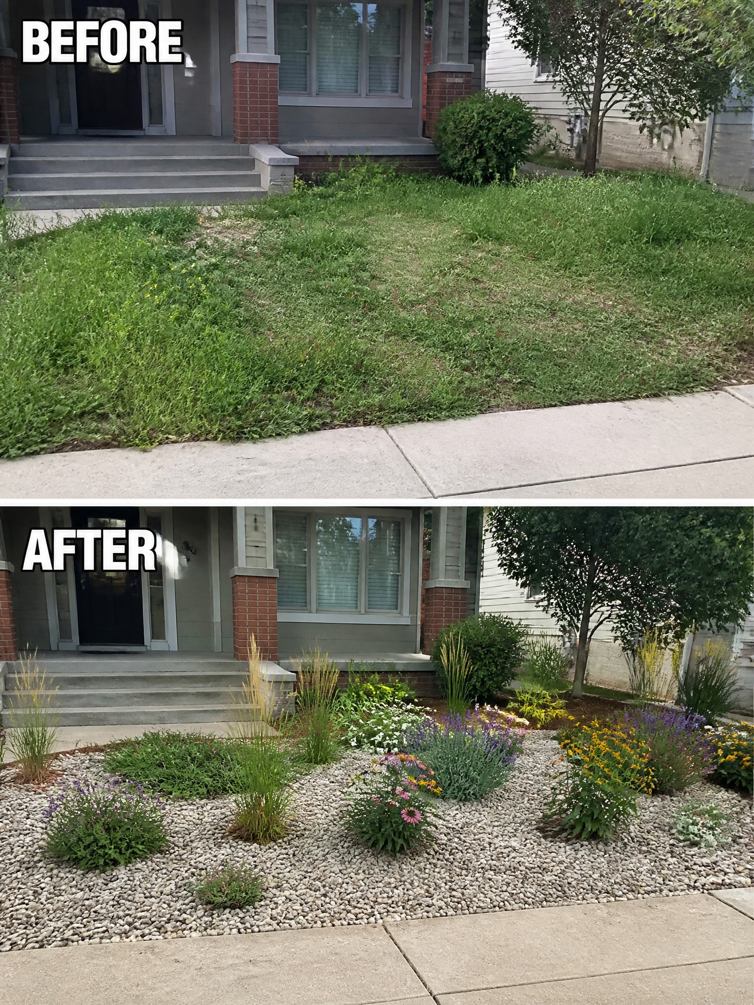Before and after of weedy lawn transformed into colorful flower garden with gravel.