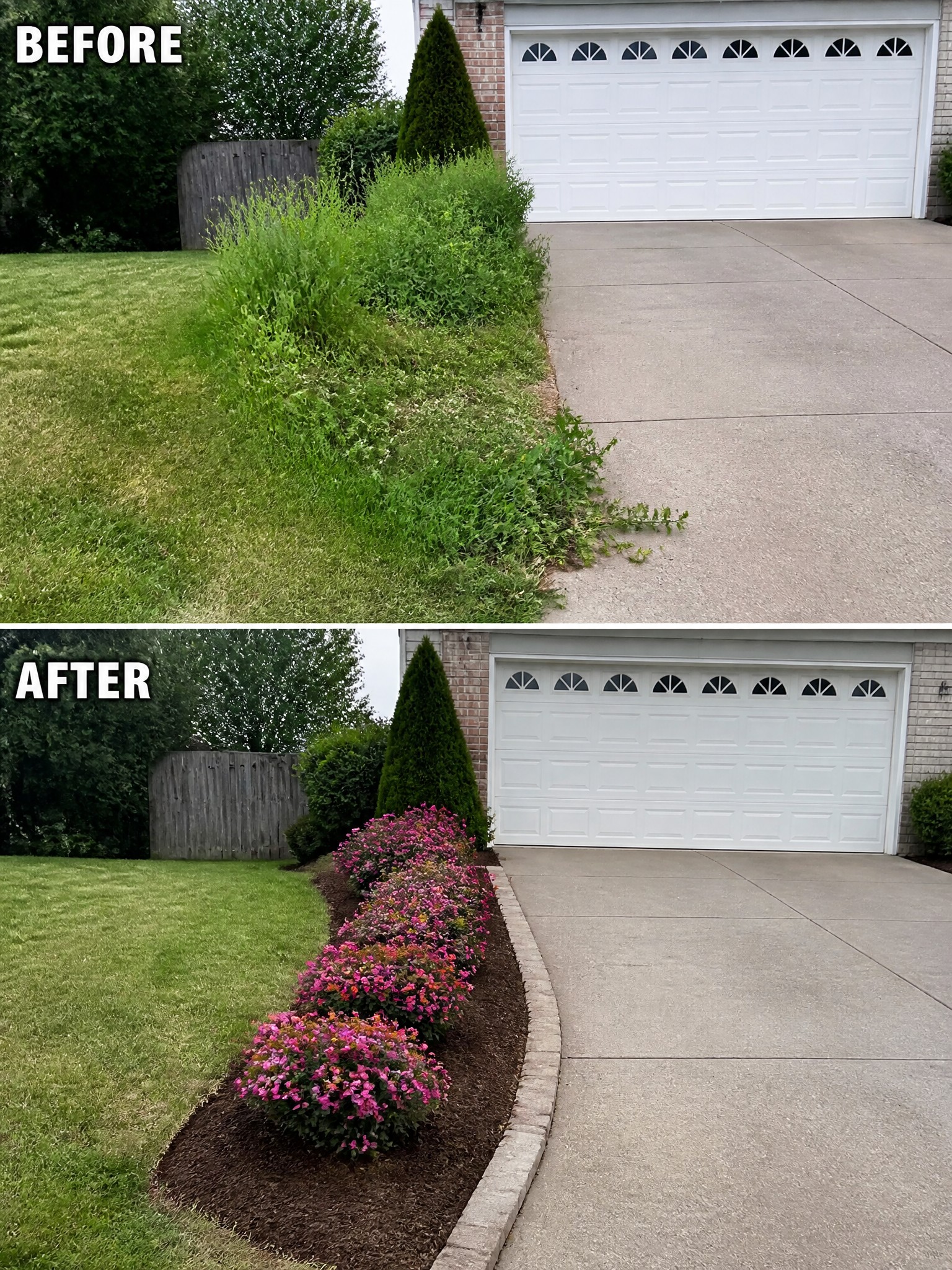 Before and after: weedy lawn edge transformed into mulched pink flower bed by driveway.