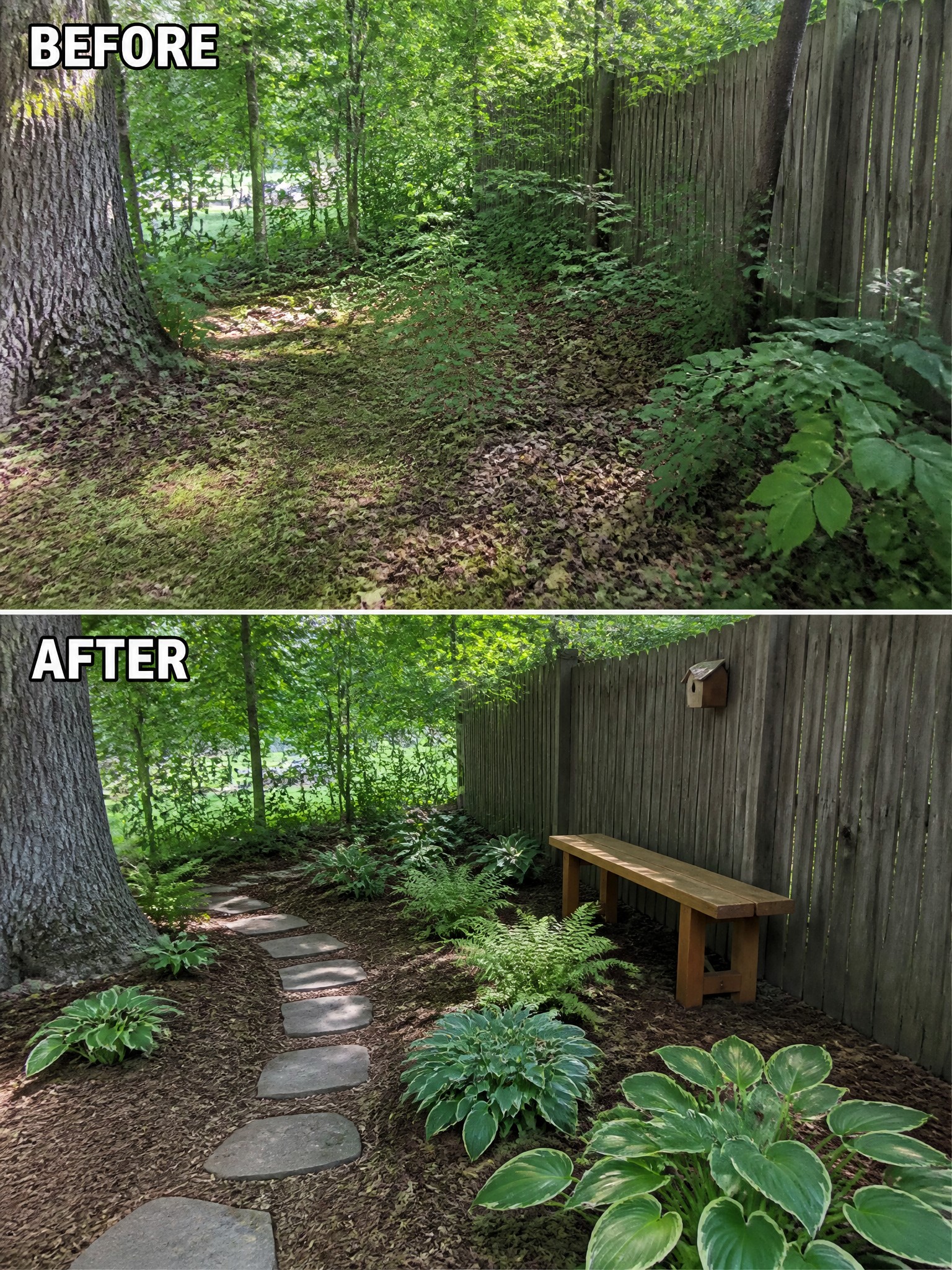Before-and-after image of an overgrown wooded area transformed into a landscaped path with stone stepping stones, hostas, ferns, and a wooden bench along a fence.