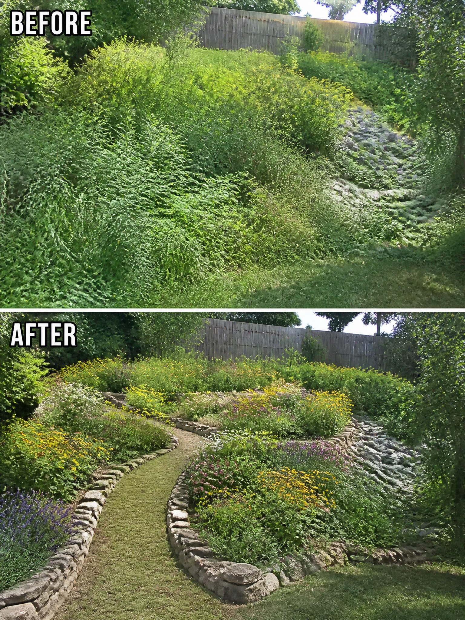 Before-and-after image of an overgrown hillside slope changed into a landscaped garden with stone-edged beds and a winding path.