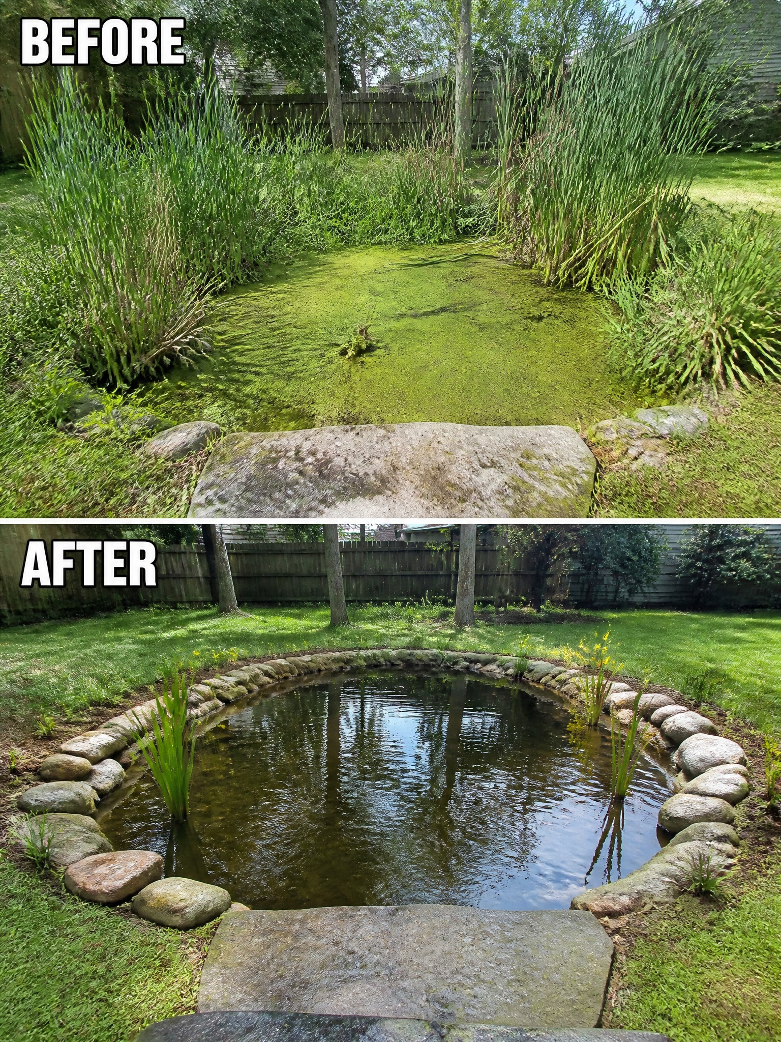 Before-and-after image of an overgrown algae-filled pond changed into a clean pond with a defined stone border.